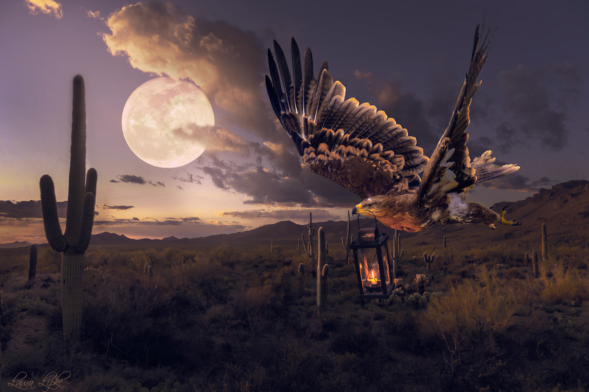 Desert Skies Unleashed