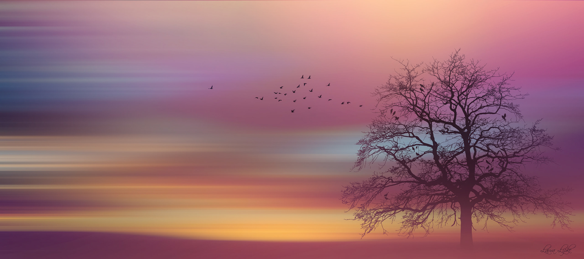 Amid the Haze