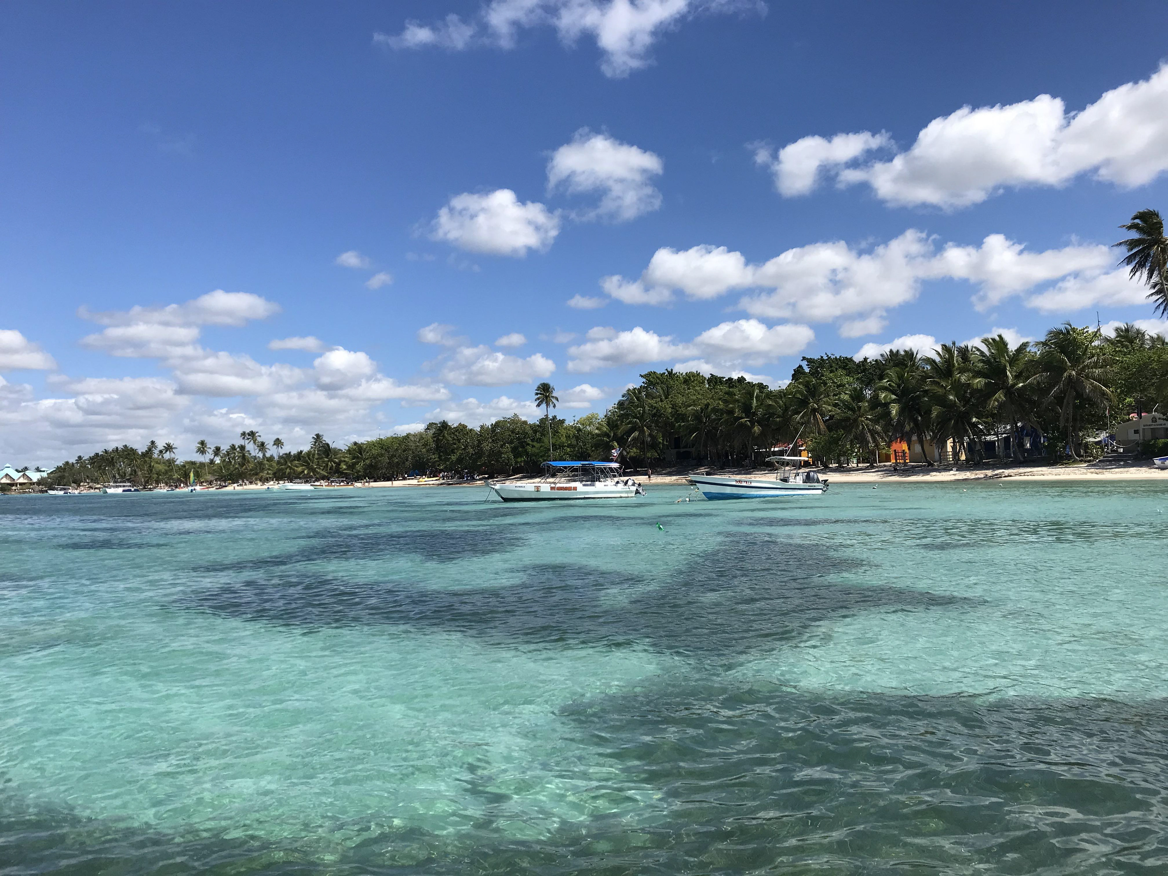 saona island