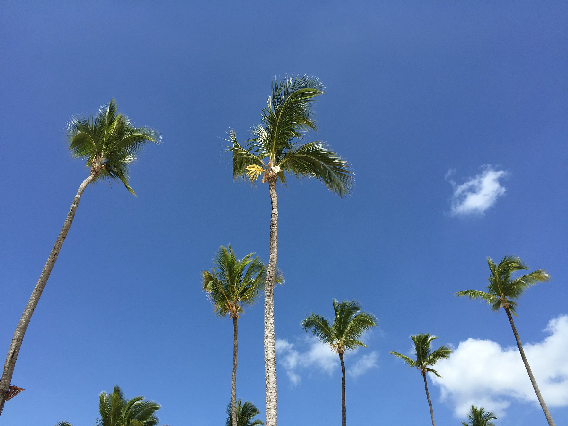 Dominican Republic