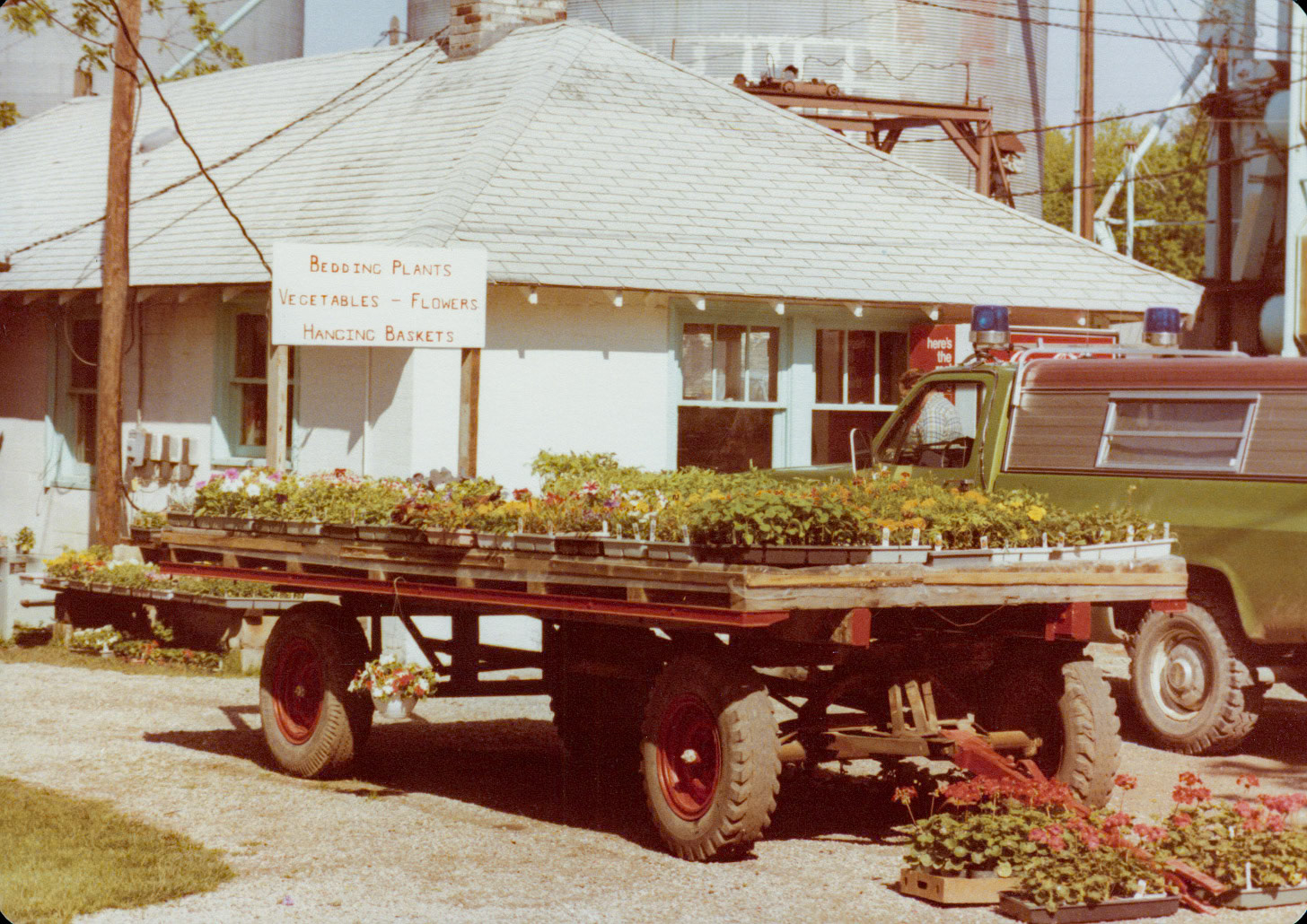 Spring plant sale