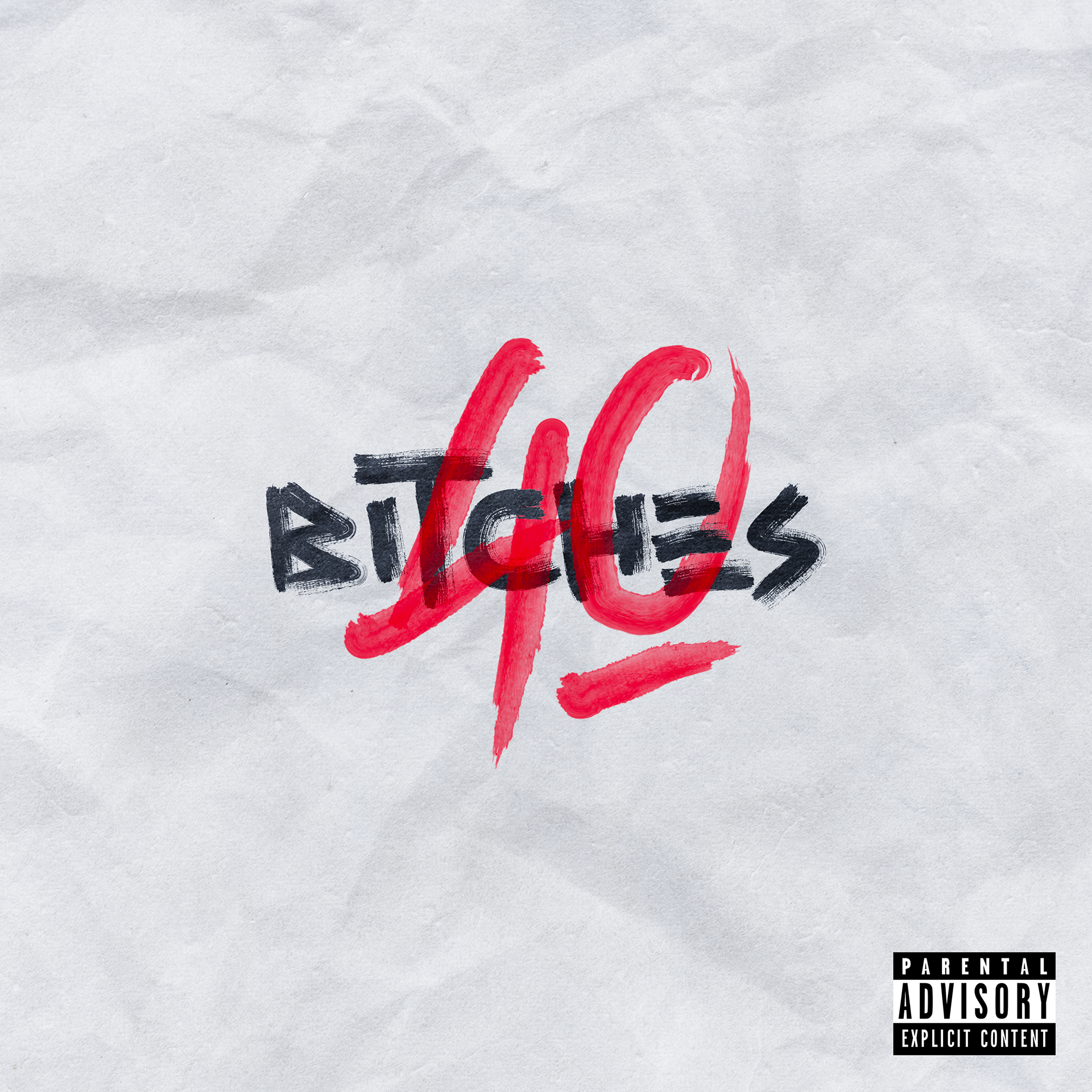 Cover 40 Bitches pour Steez&Sully