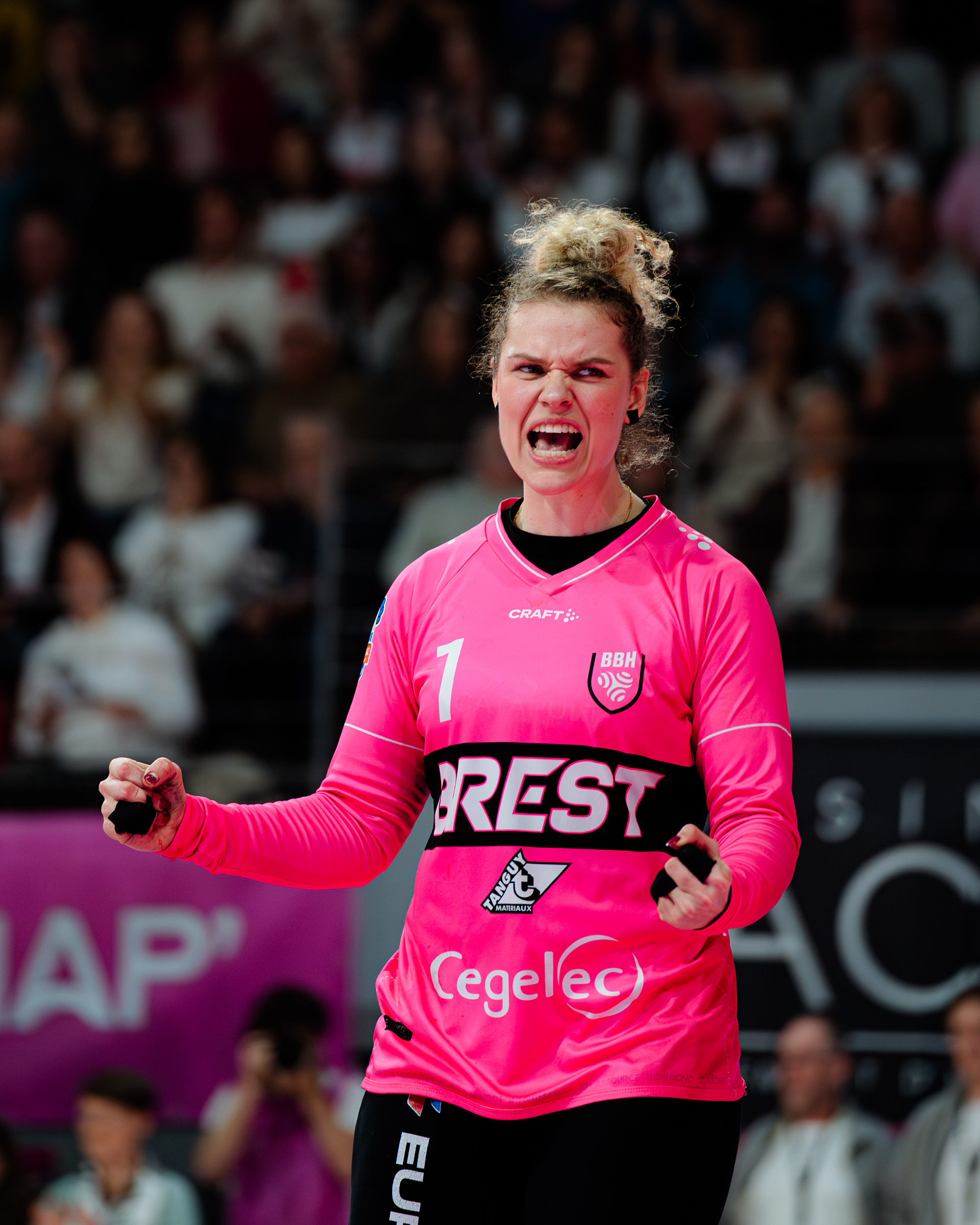 Brest Bretagne Handball