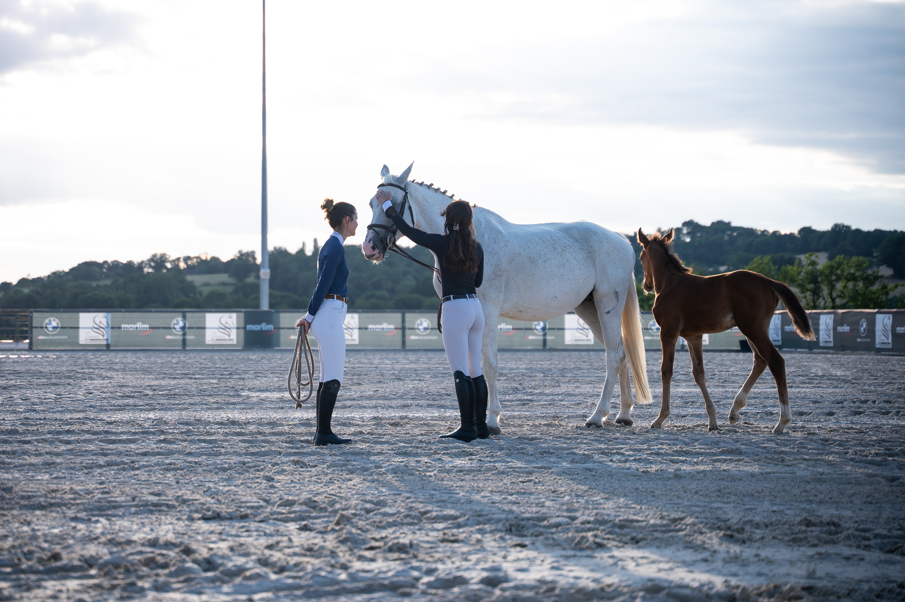 Soirée partenaires 2025 - Limoges Handball