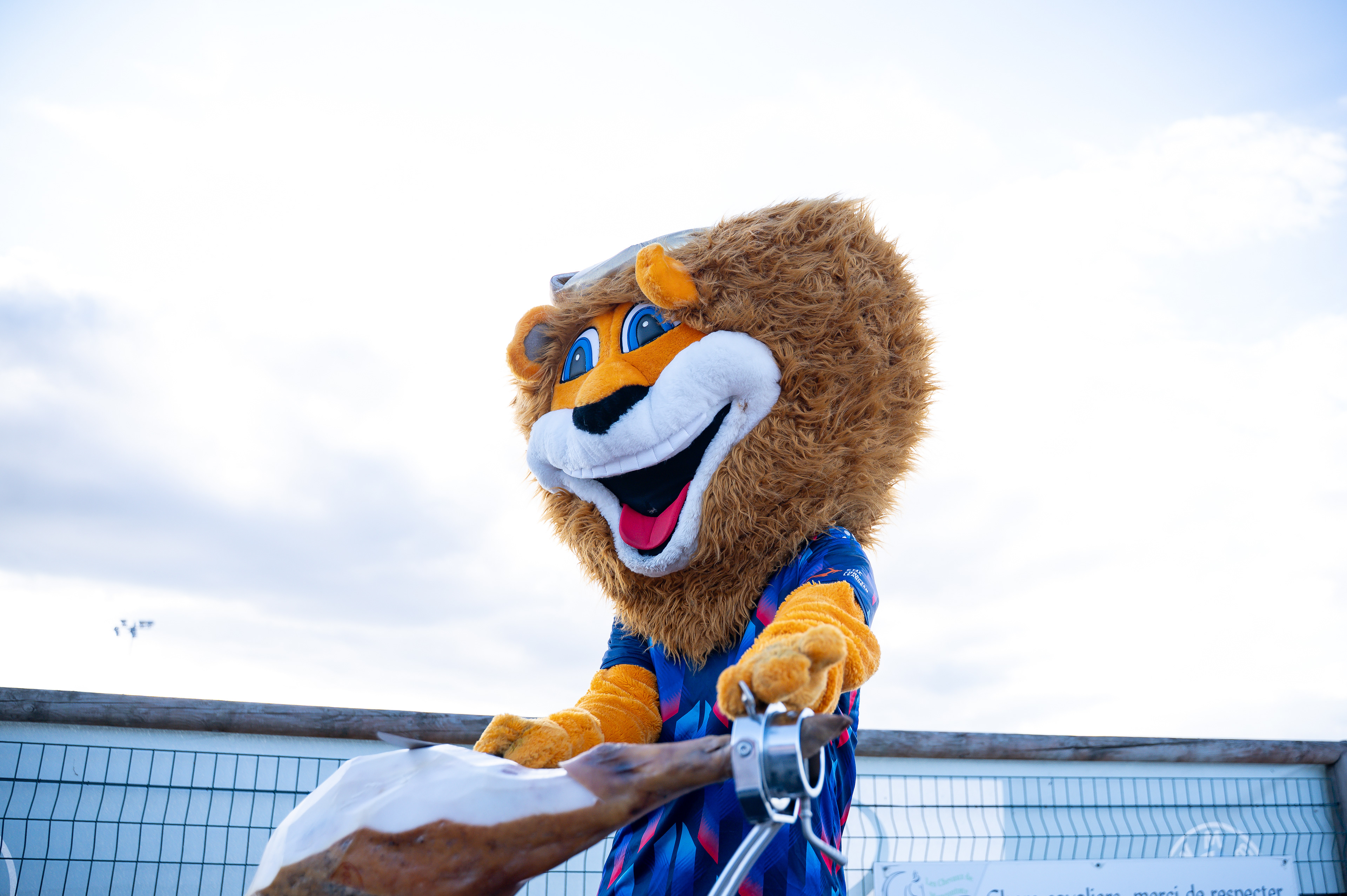 Soirée partenaires 2025 - Limoges Handball