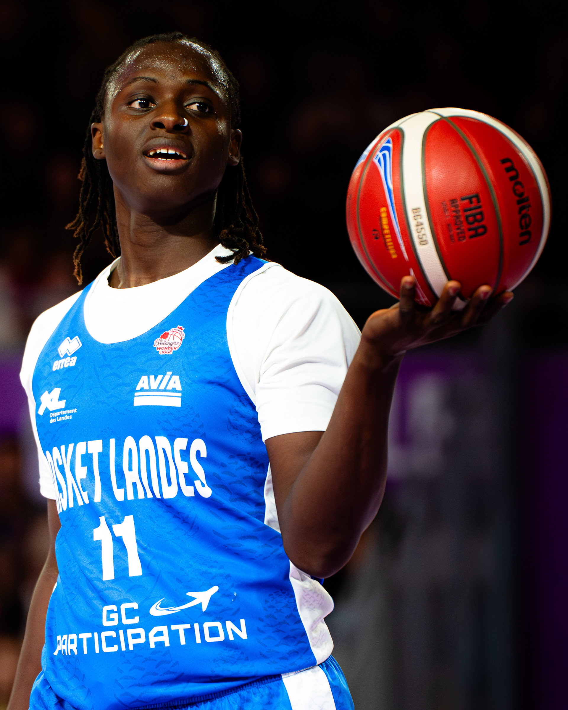 Basket Landes
