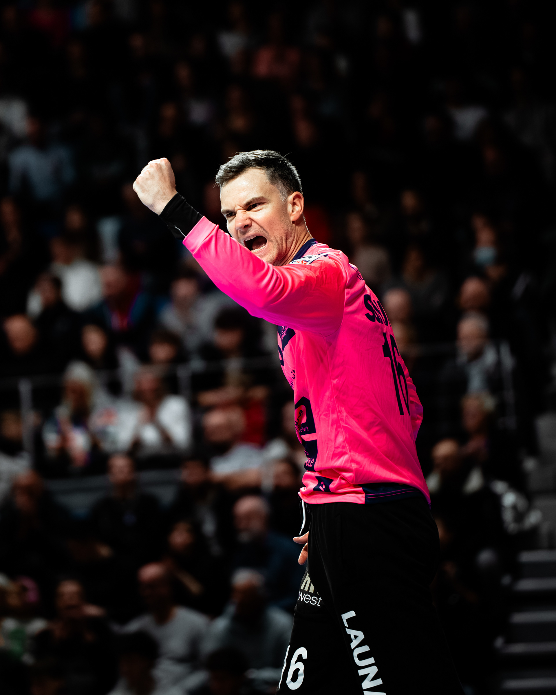 Cesson-Rennes Métropole Handball