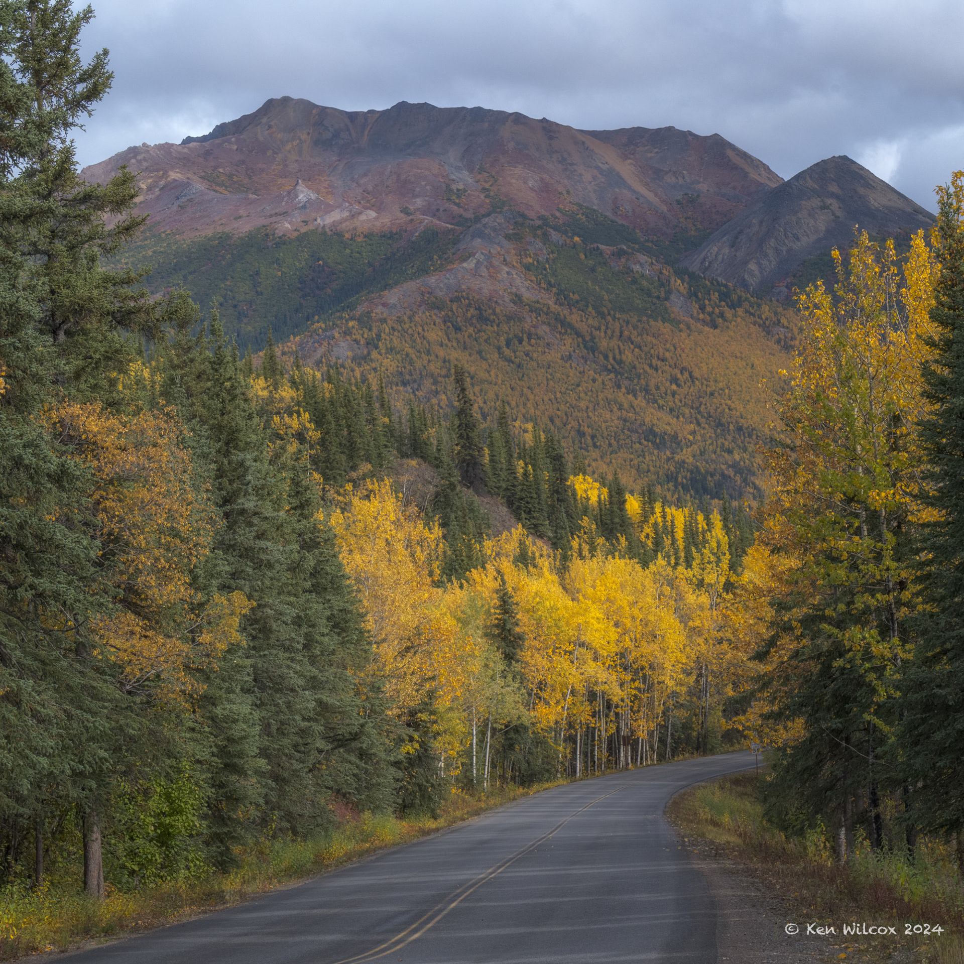 Road Through Denali, September 2024