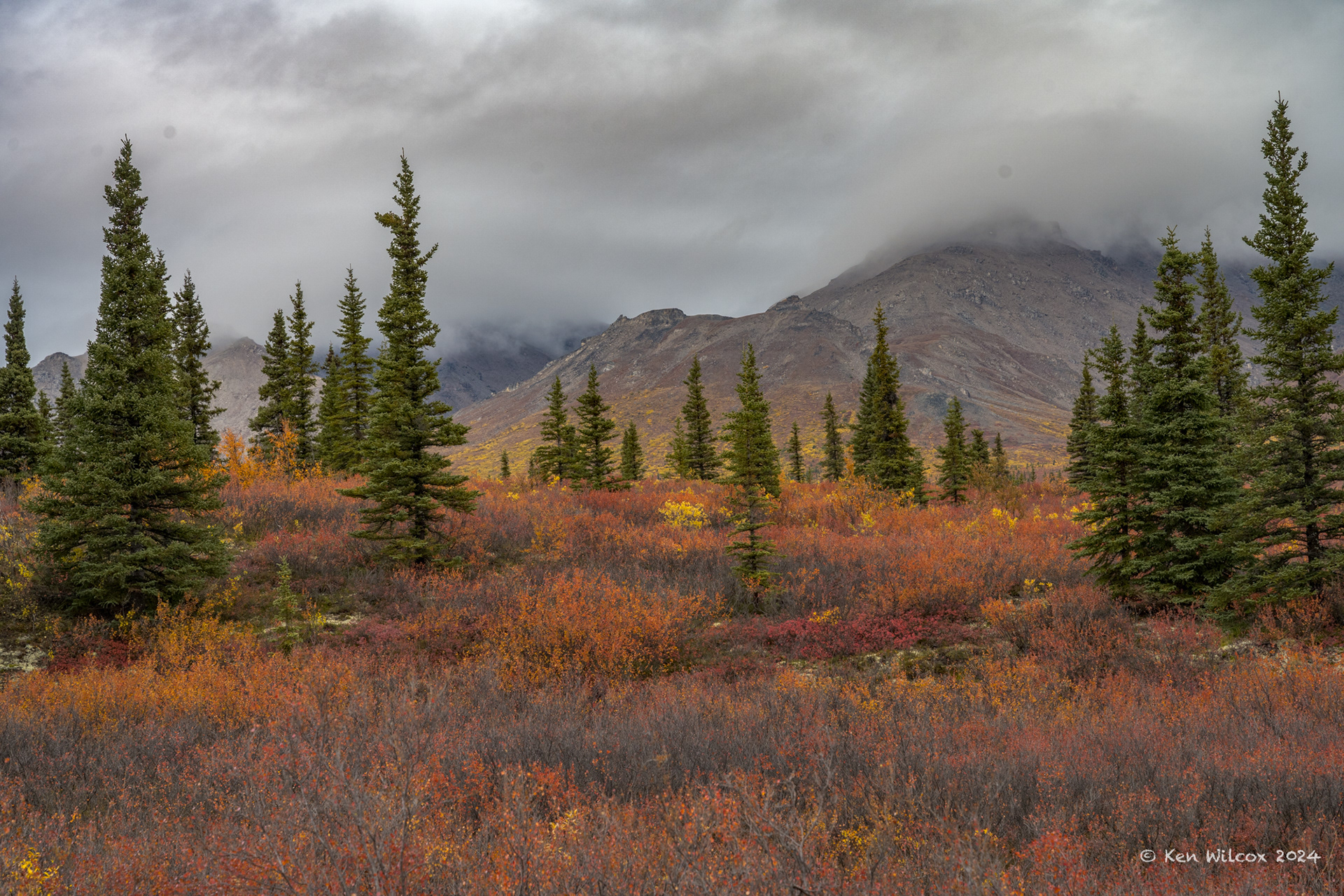 Denali Fog and Colors, September 2024
