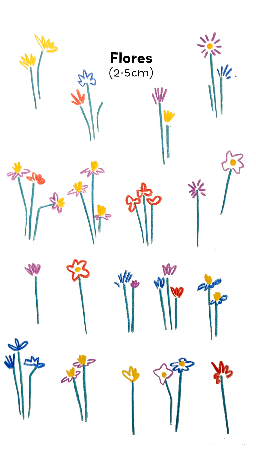 F6. Flores Mix