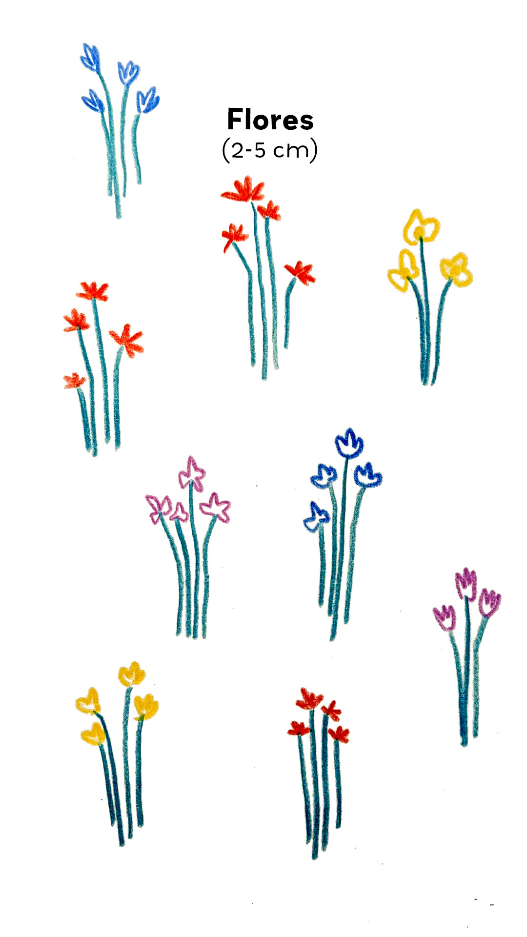 F3. Flores 2 Cores