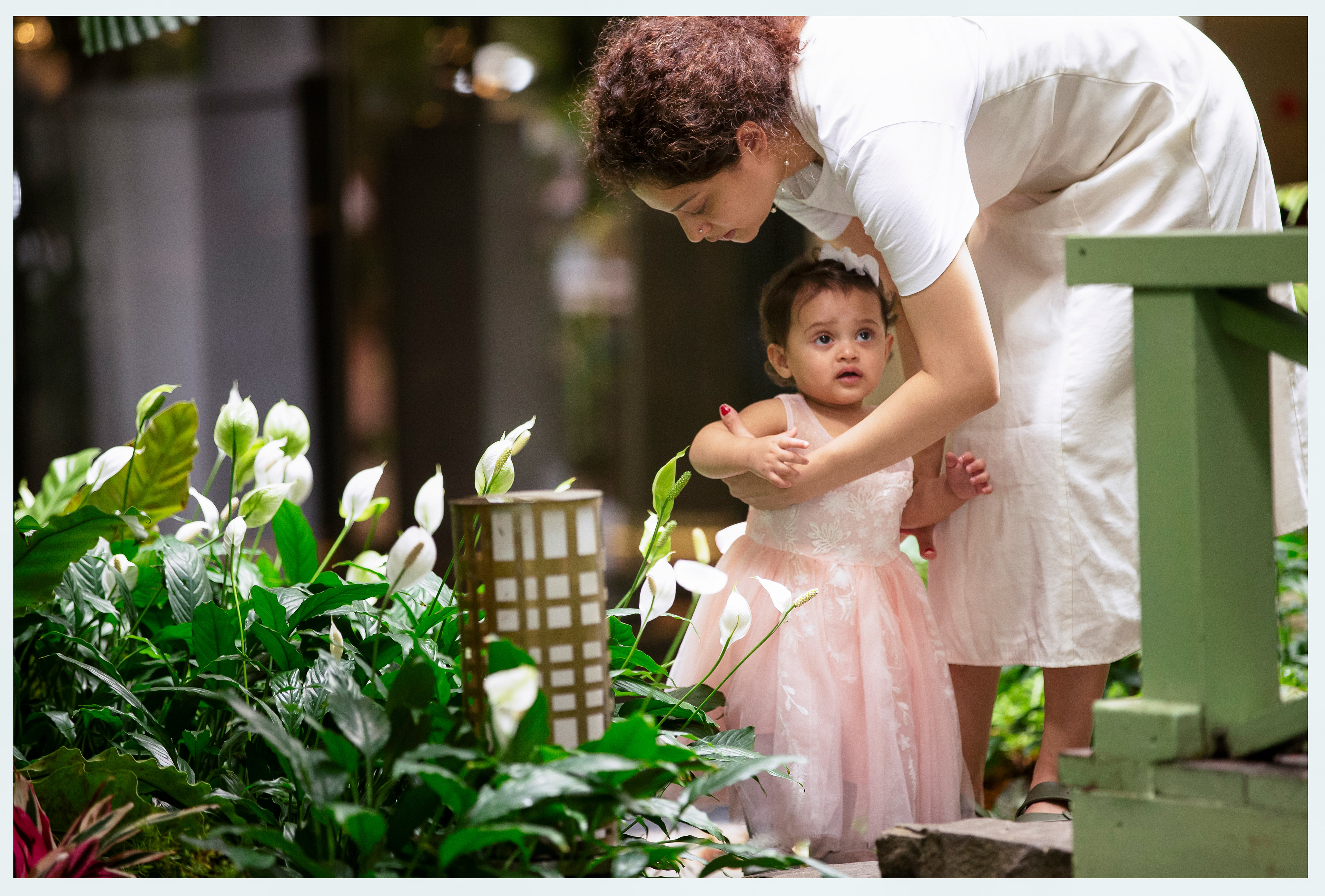 Photographer Newborn and Maternity Pregnancy Family i