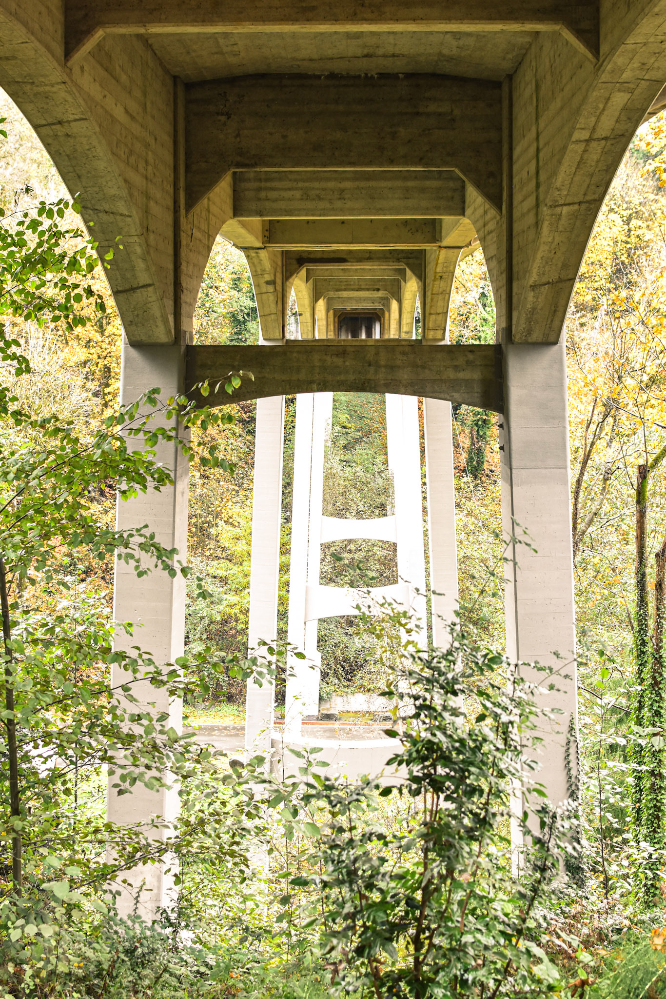 Overpass Bridge, Saltwater State Park, WA, 2023