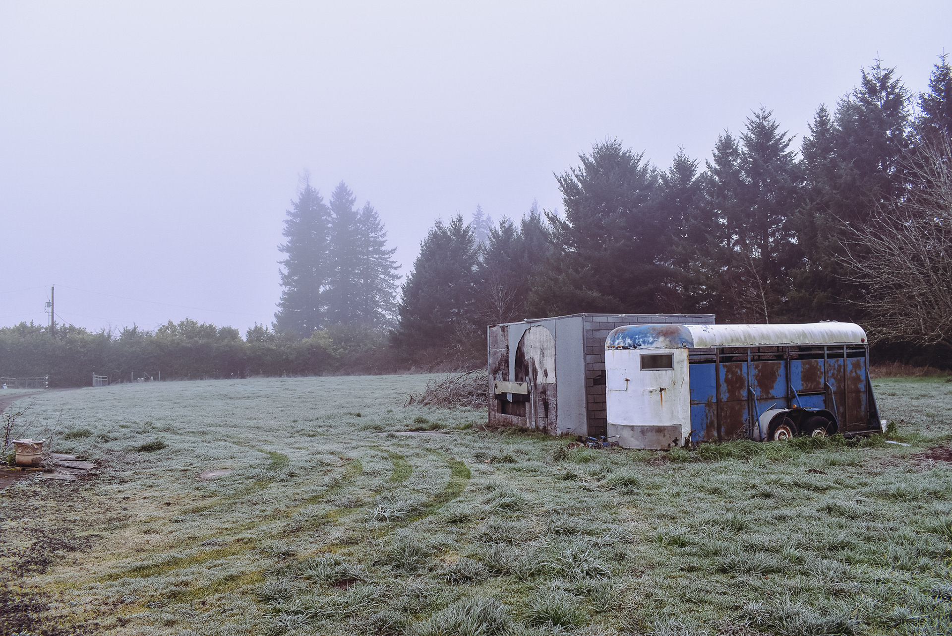 Abandoned Horse Trailer, West Linn, OR, 2018