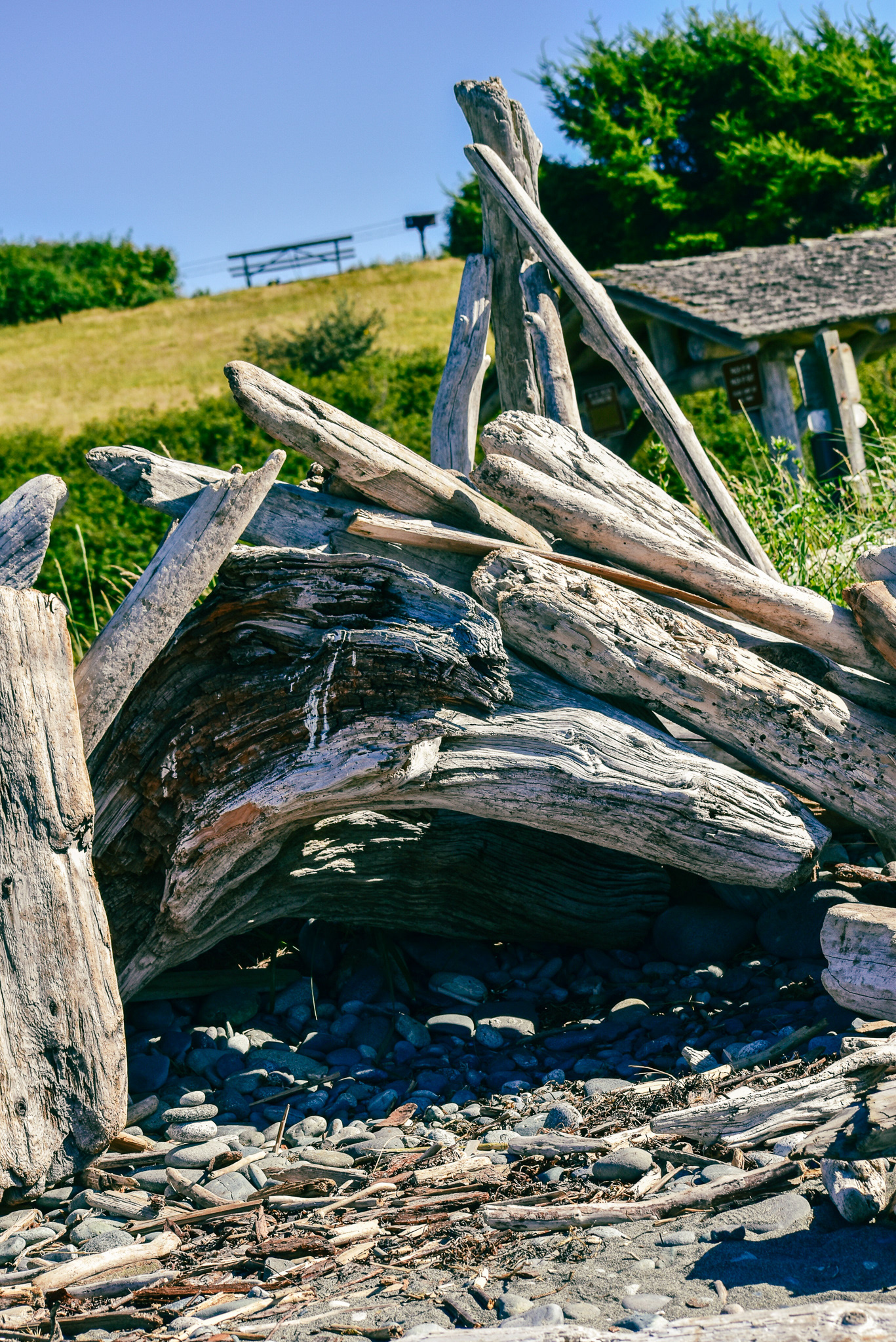 Driftwood Sculpture, Whidbey Island, WA, 2020