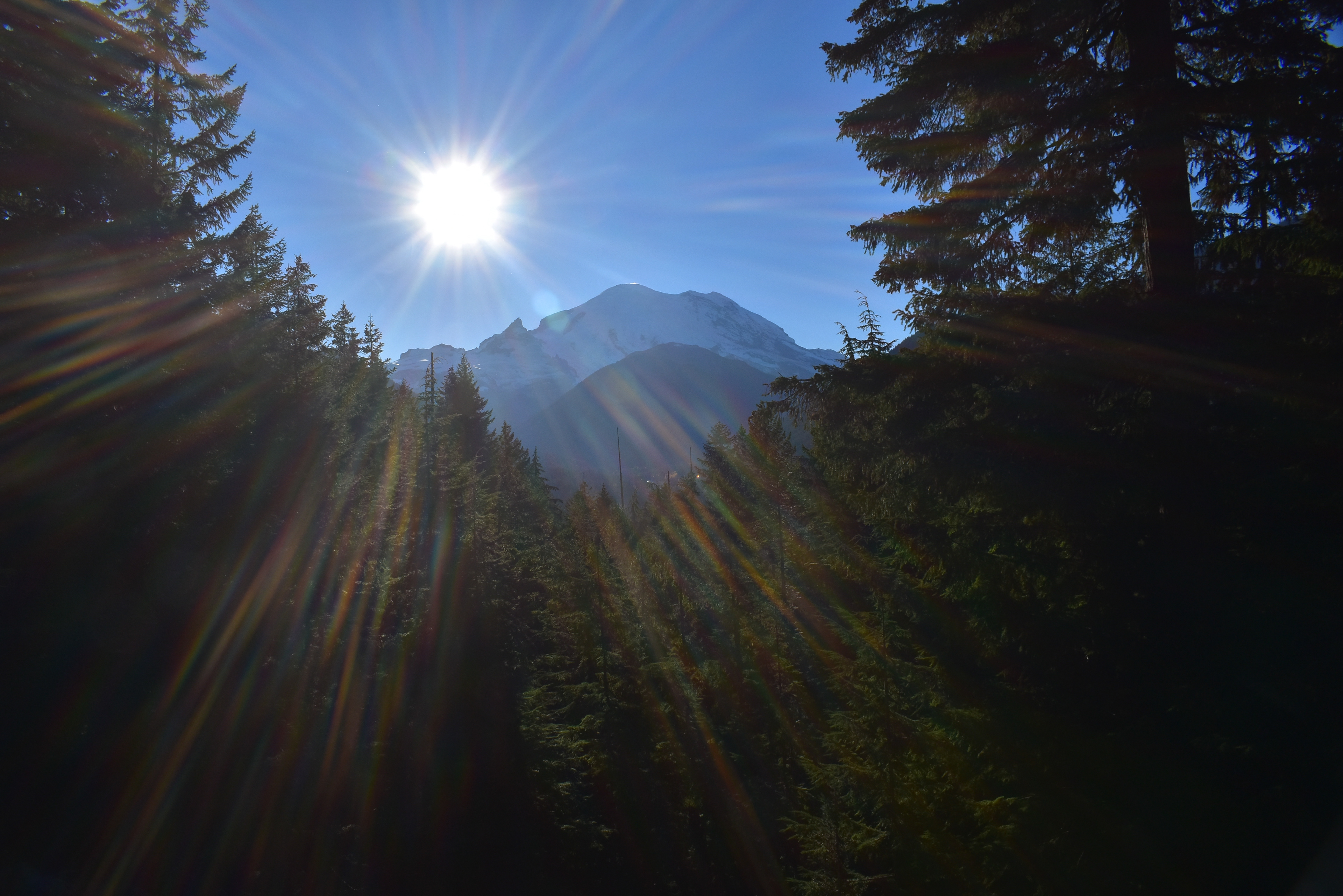 Sunburst, Mt Ranier, WA, 2019