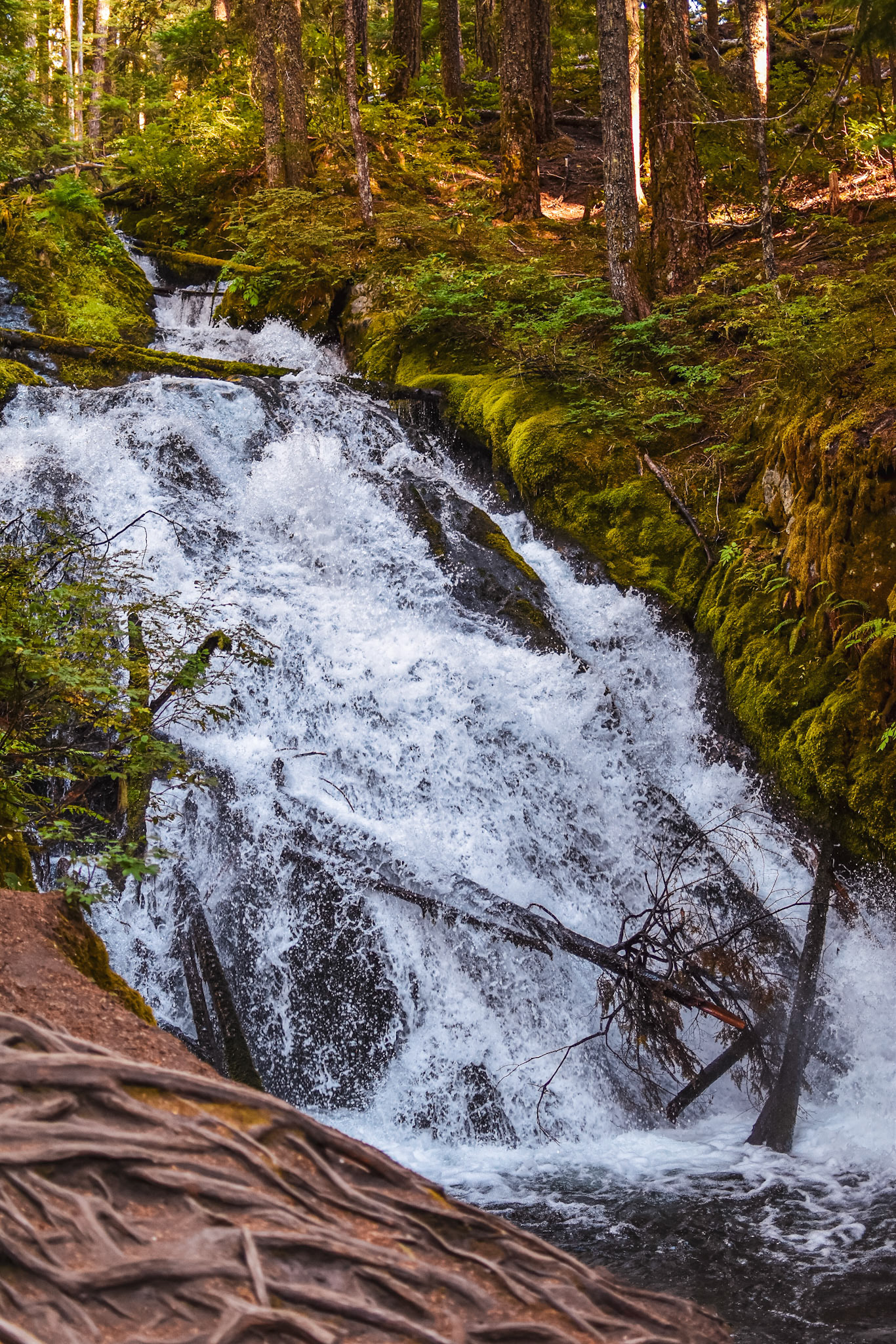 Zigzag Falls, Welches, OR, 2023