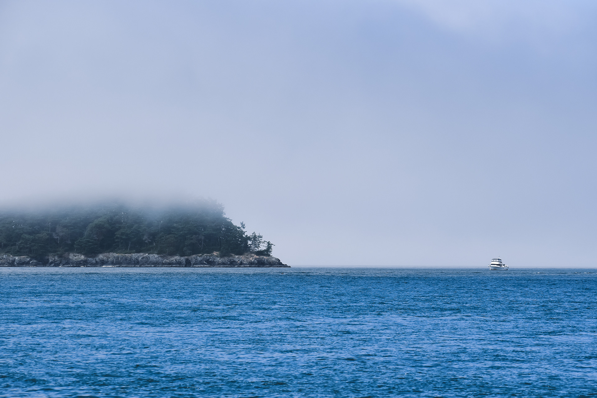 Fog Rolling In, Deception Pass, WA, 2020