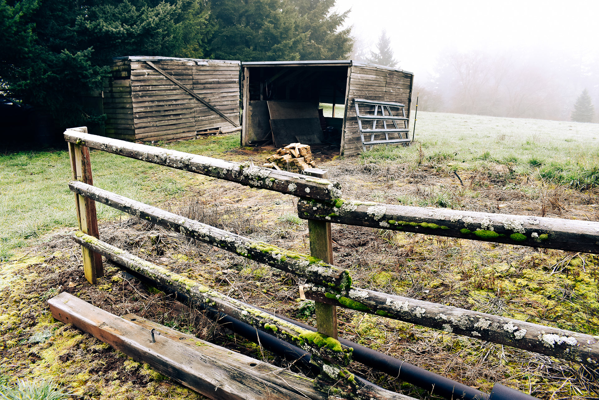 Farm Outbuilding, West Linn, OR, 2018