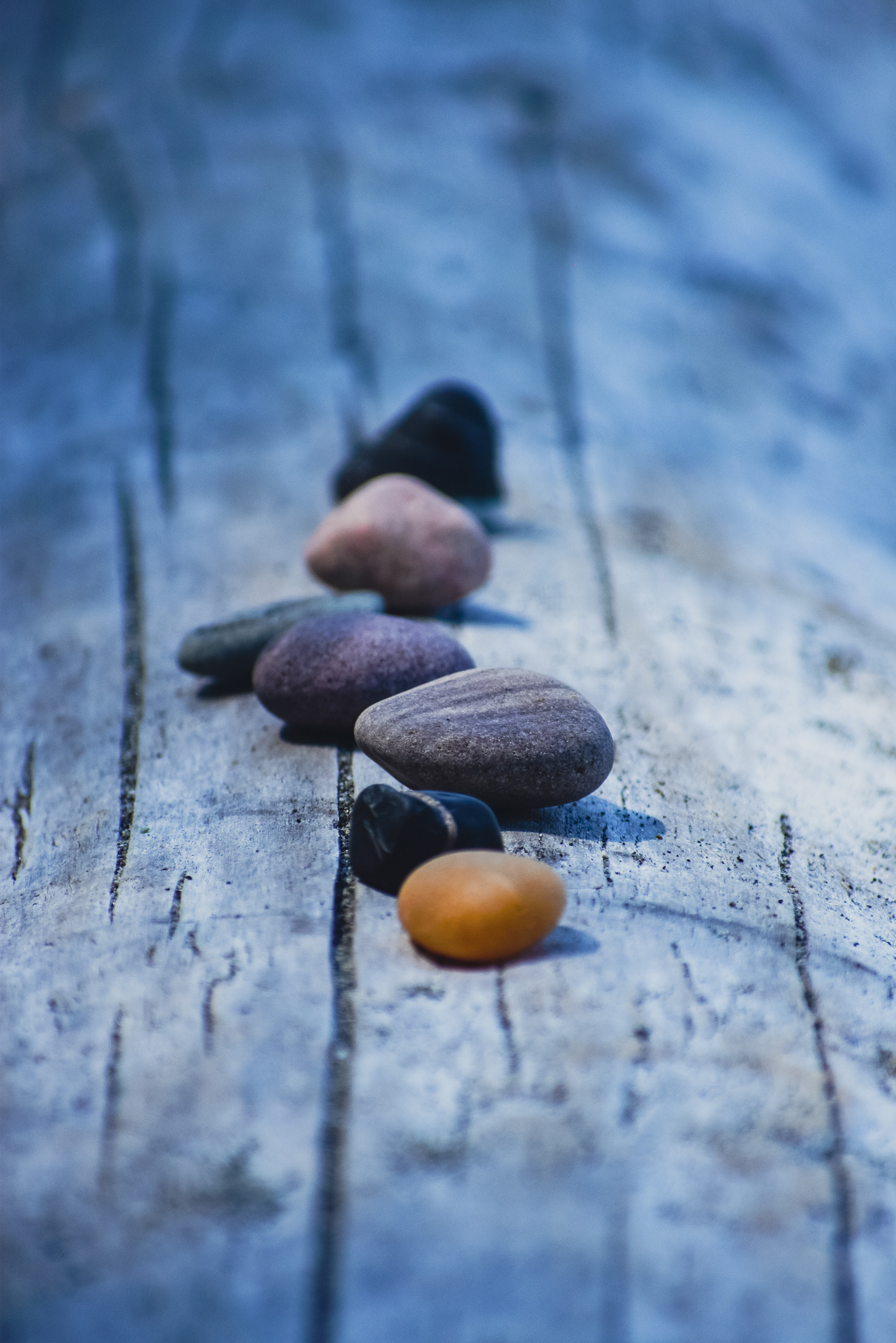 Rock Collection, Whidbey Island, WA, 2020