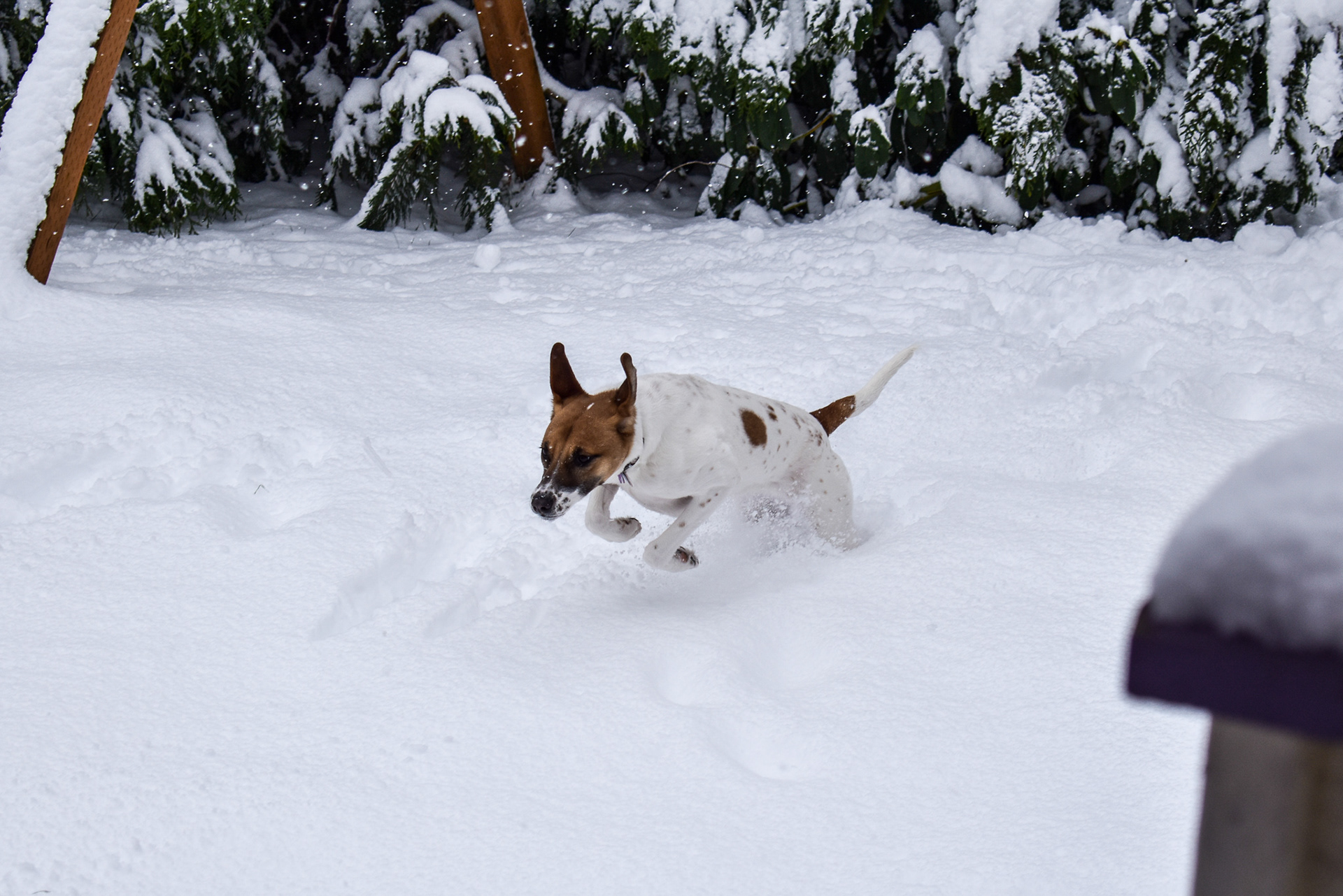 First Snow Adventure, 2018