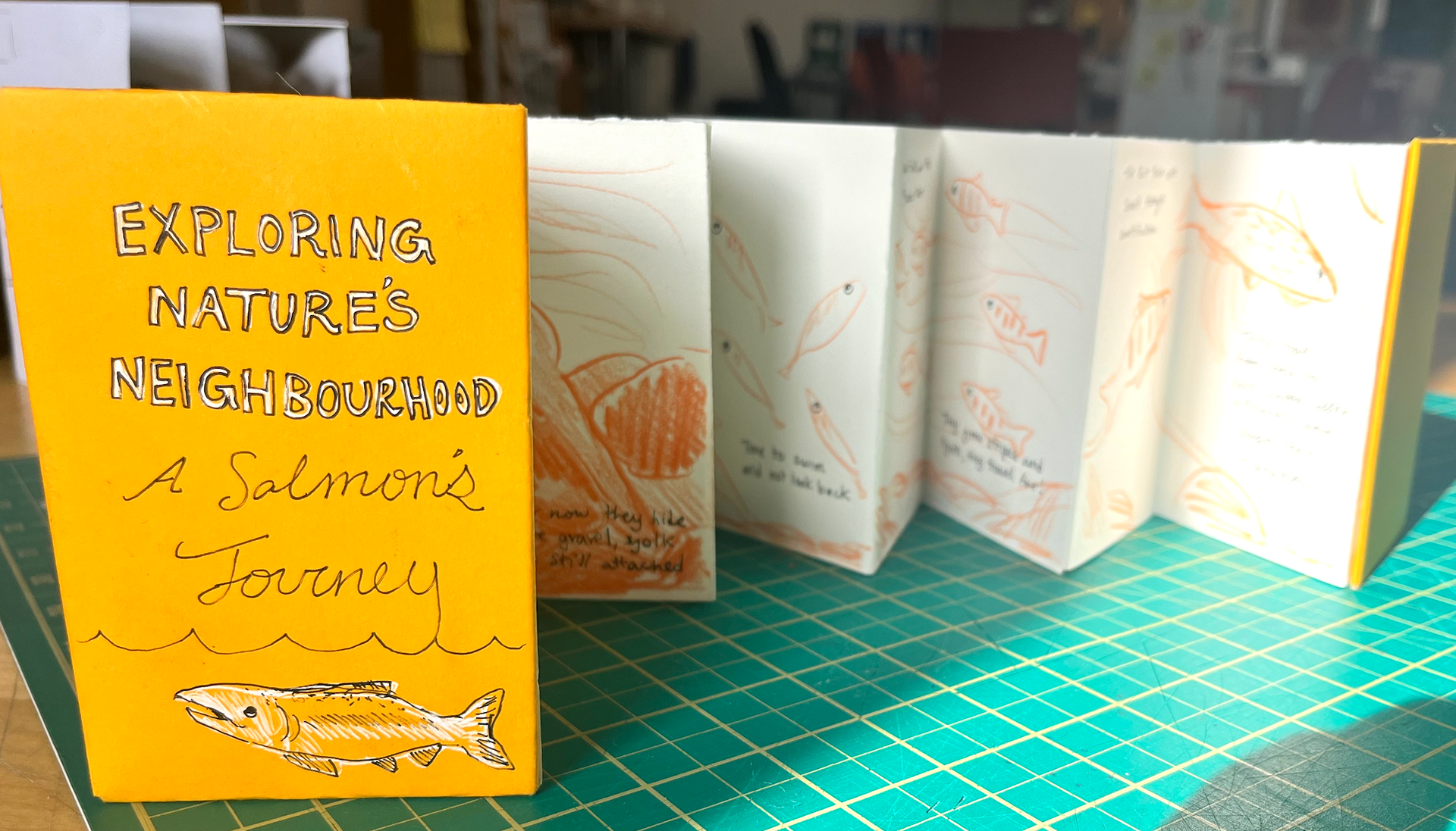My first prototype of my envisioned accordion book. There will be an emphasis on illustrations made of paper (not featured here), as well as a hard cover.