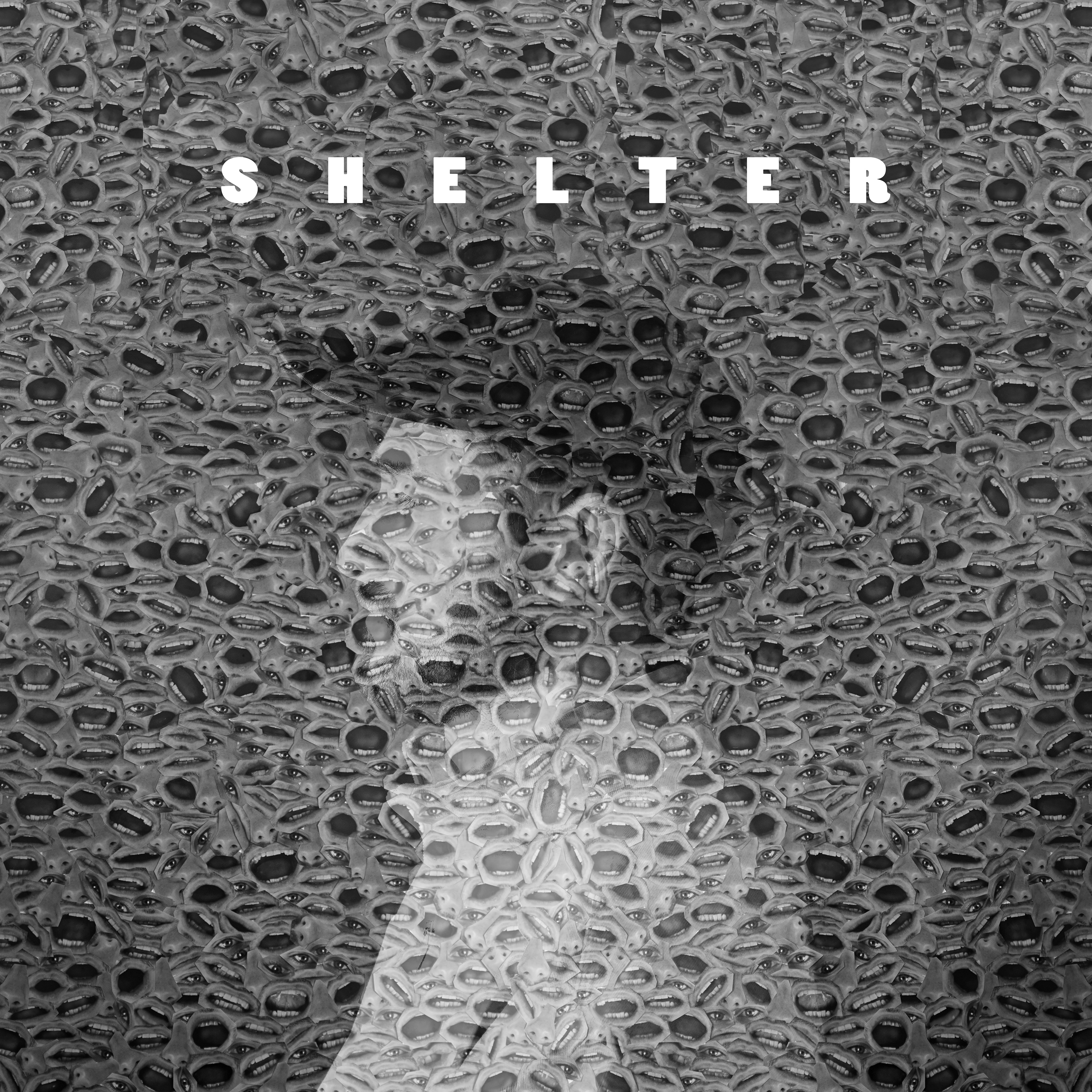 Shelter - Single Cover