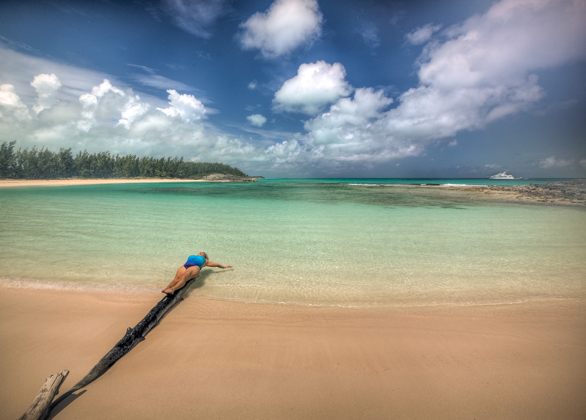 On the Log - 2605