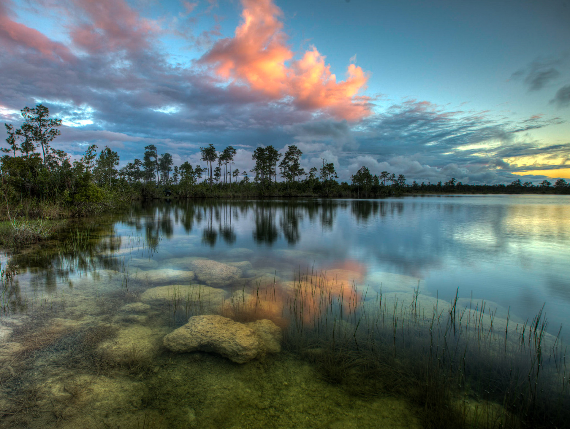 EN2417 -Everglades National Park, the largest subtropical wilderness in the United States, boasts rare and endangered species. It has been designated a World Heritage Site, International Biosphere Reserve, and Wetland of International Importance, significant to all people of the world.