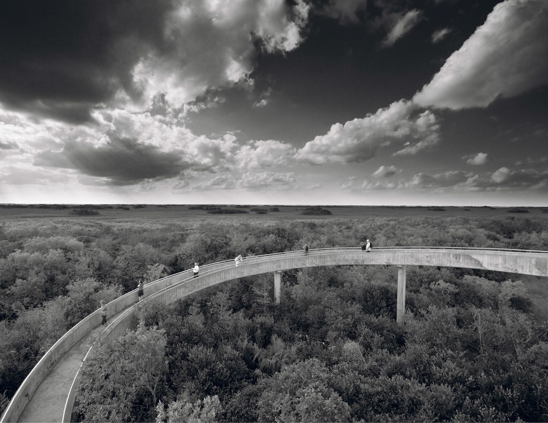 EN2414 -Everglades National Park, the largest subtropical wilderness in the United States, boasts rare and endangered species. It has been designated a World Heritage Site, International Biosphere Reserve, and Wetland of International Importance, significant to all people of the world.