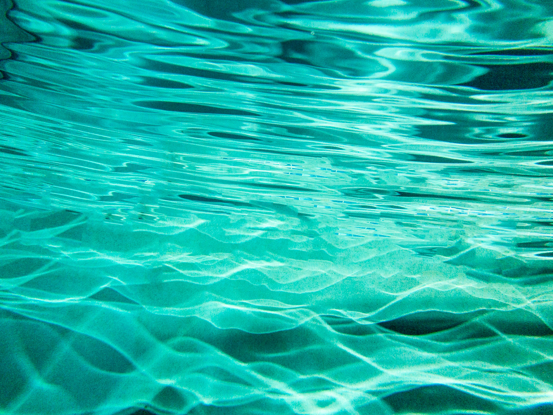 Water 2017