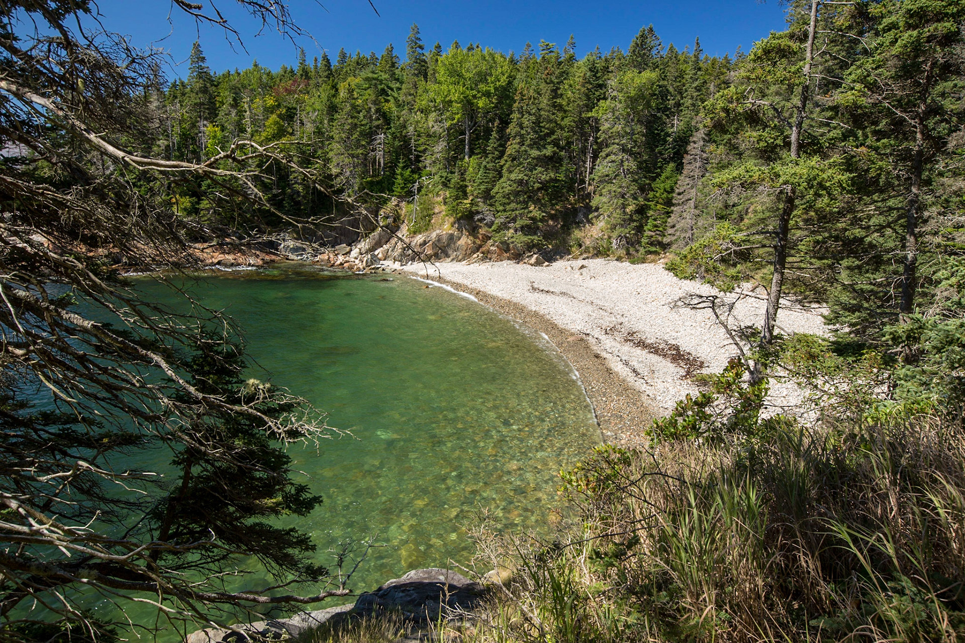 Turquoise Water in Cobble Cove - 1781