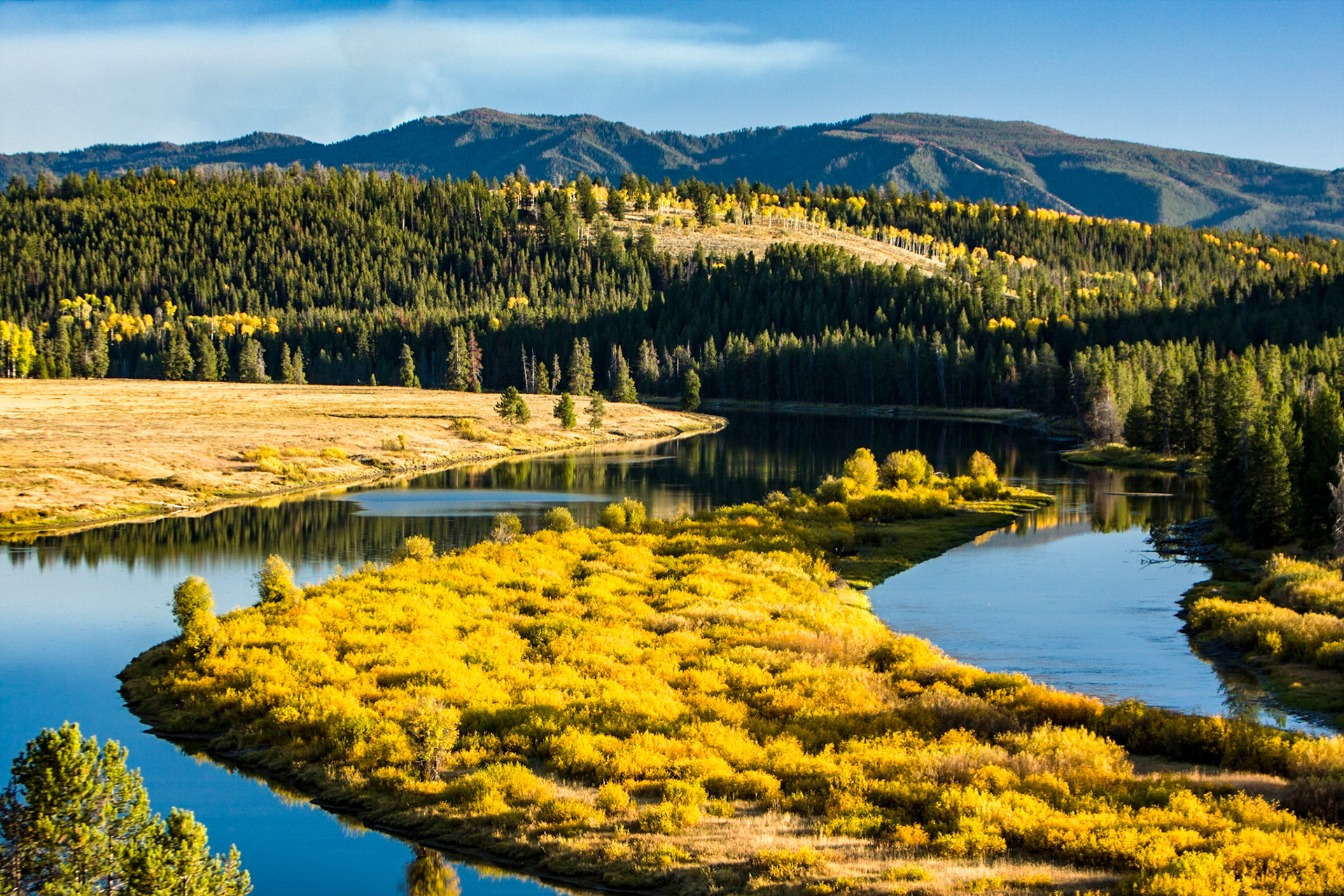 Snake River Autumn Bend