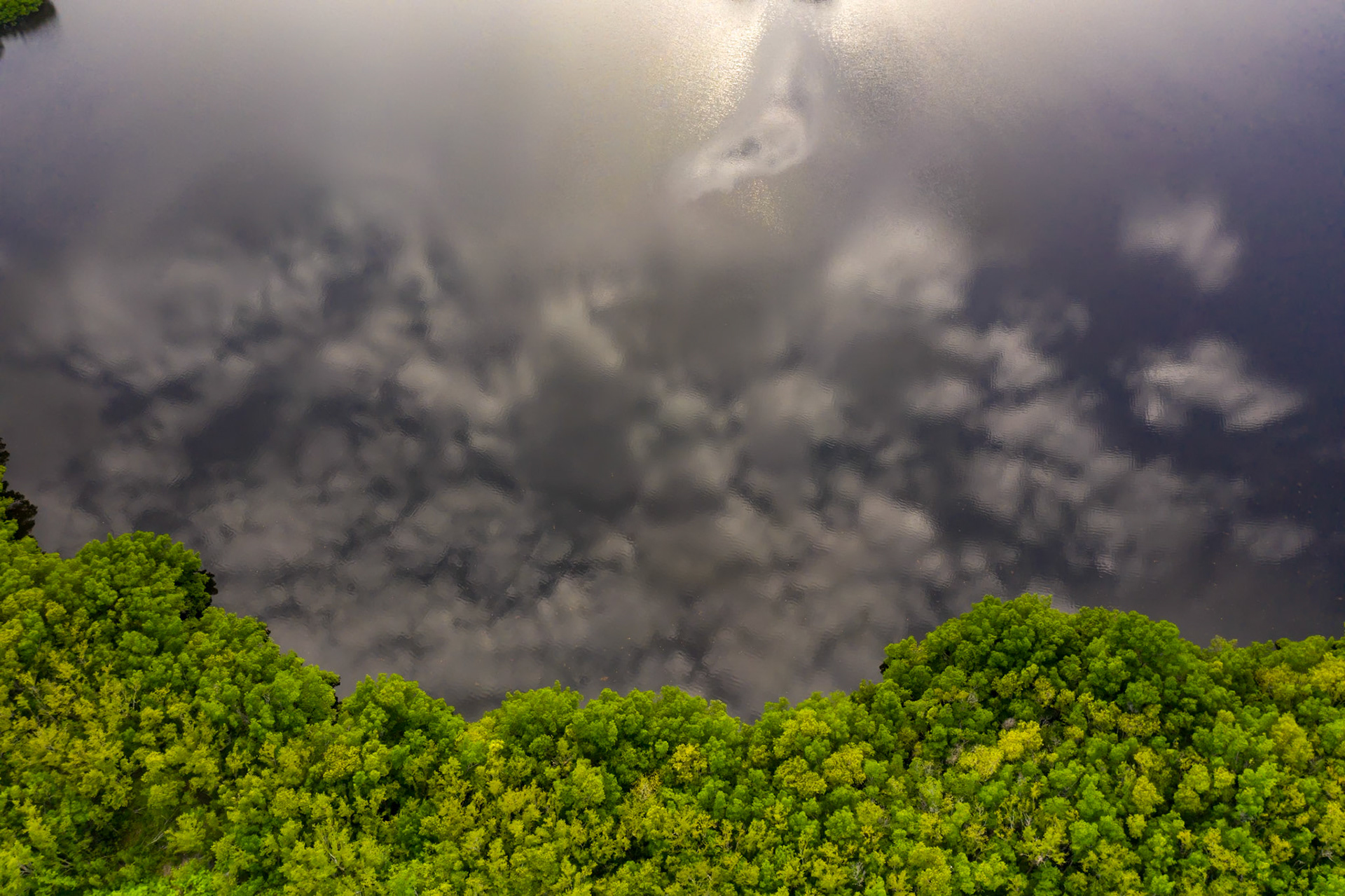 Gray Clouds Above - 0798