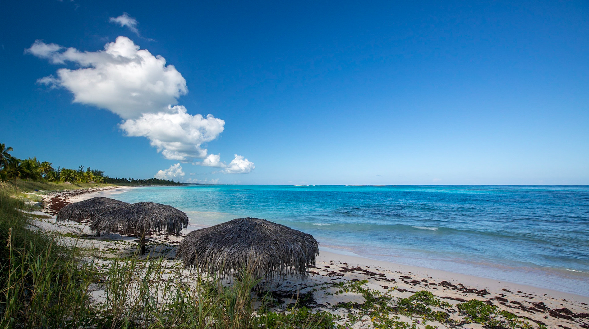 Other Eleuthera-257