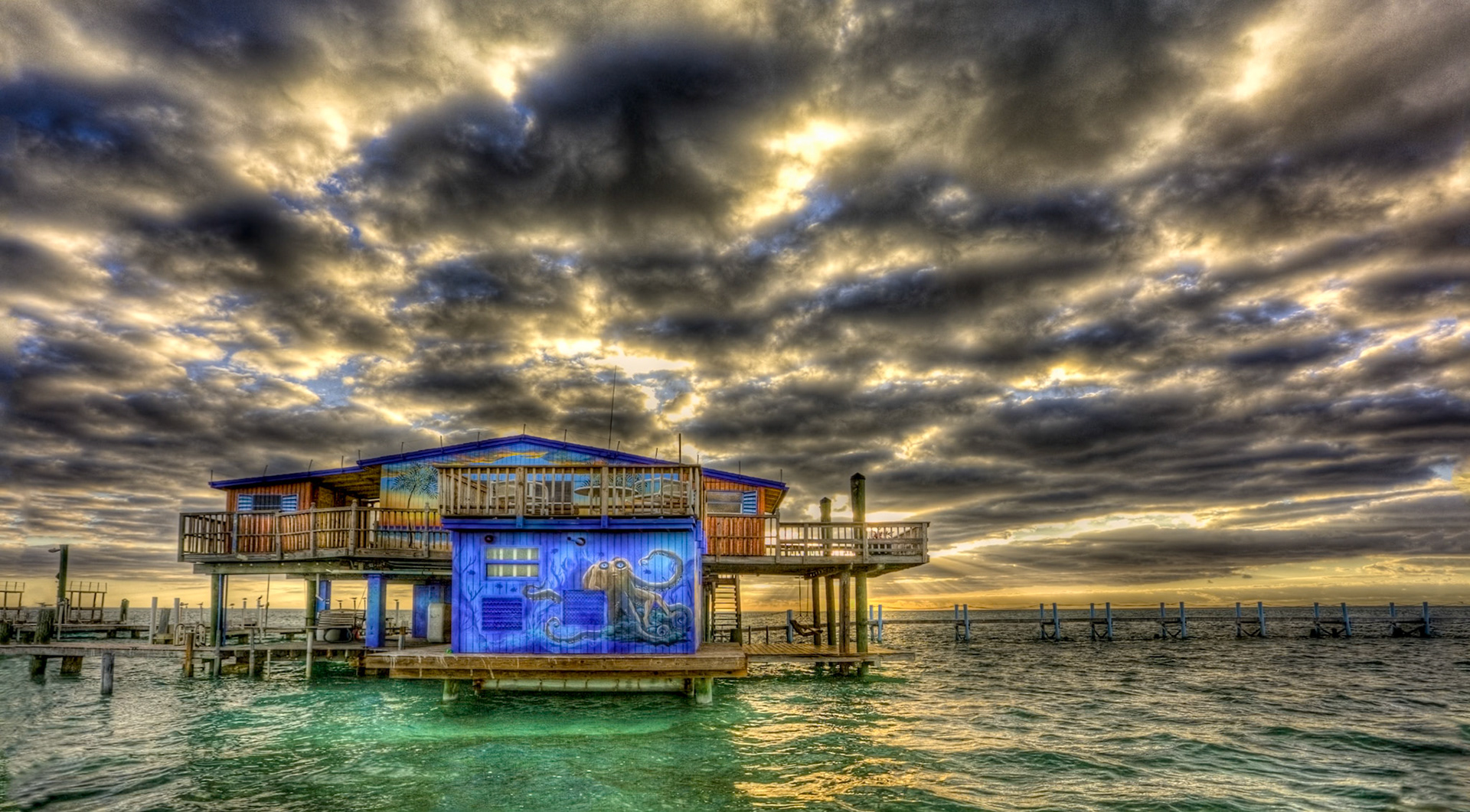 Octopus House - 608