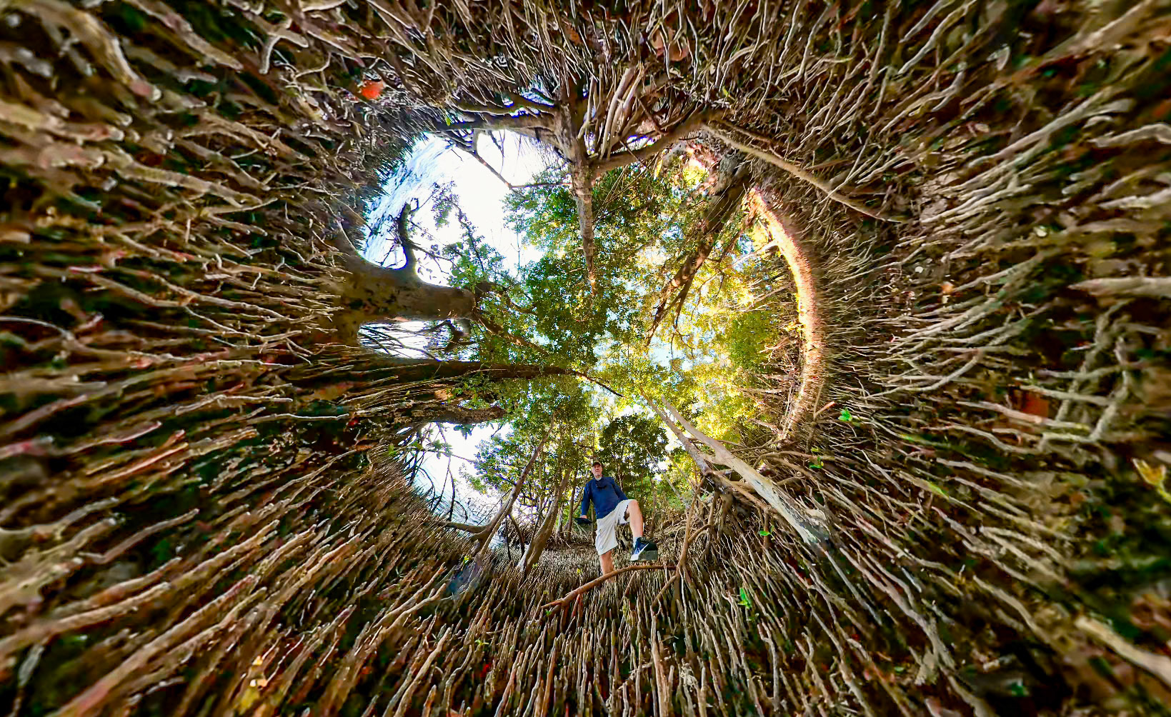 Inside the Fig - 055