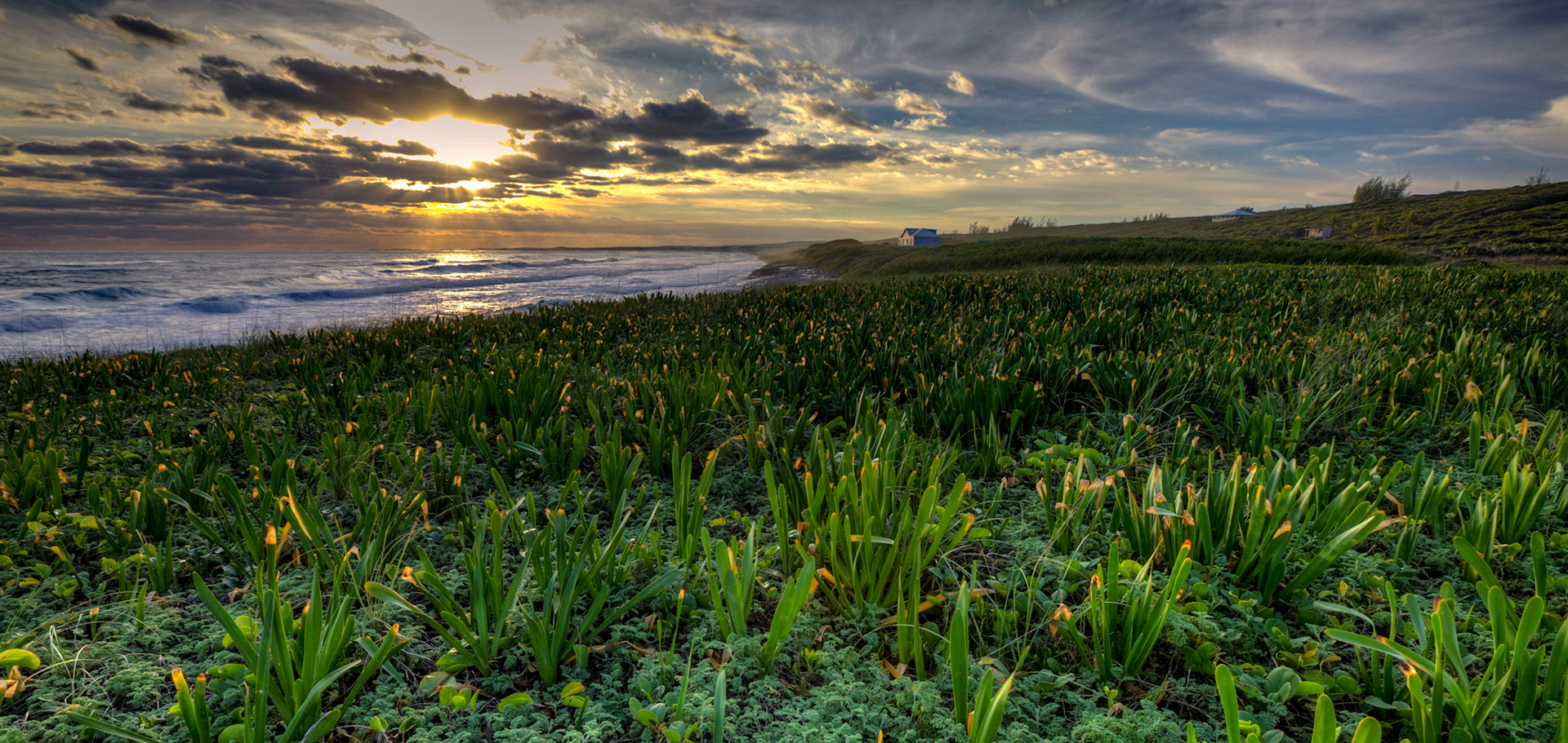 HB10-Even when there are waves, it's not likley to be crowded. Watch out for urchins, rocks, sharks and coral.