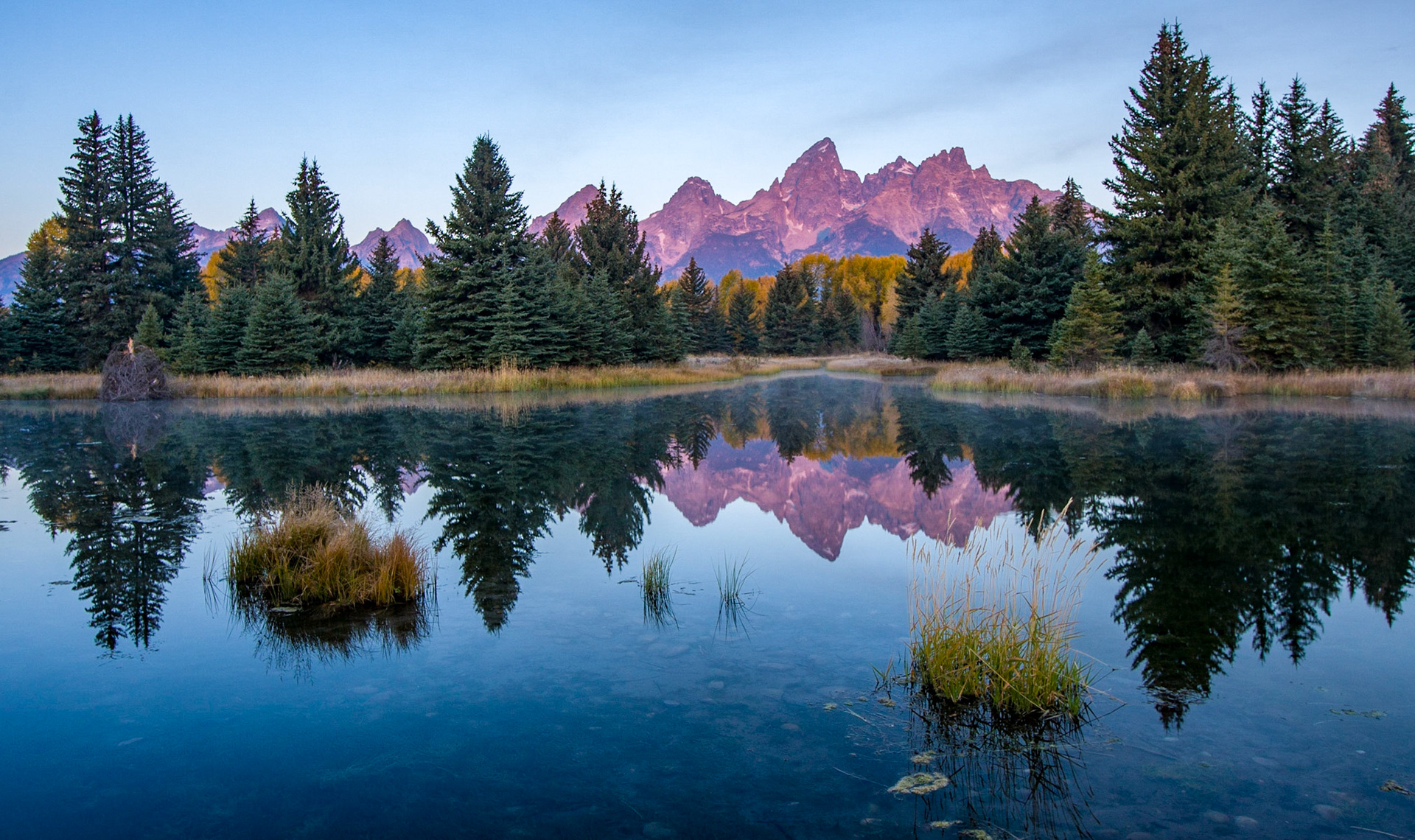 Schwabacher Landing Alpenglow