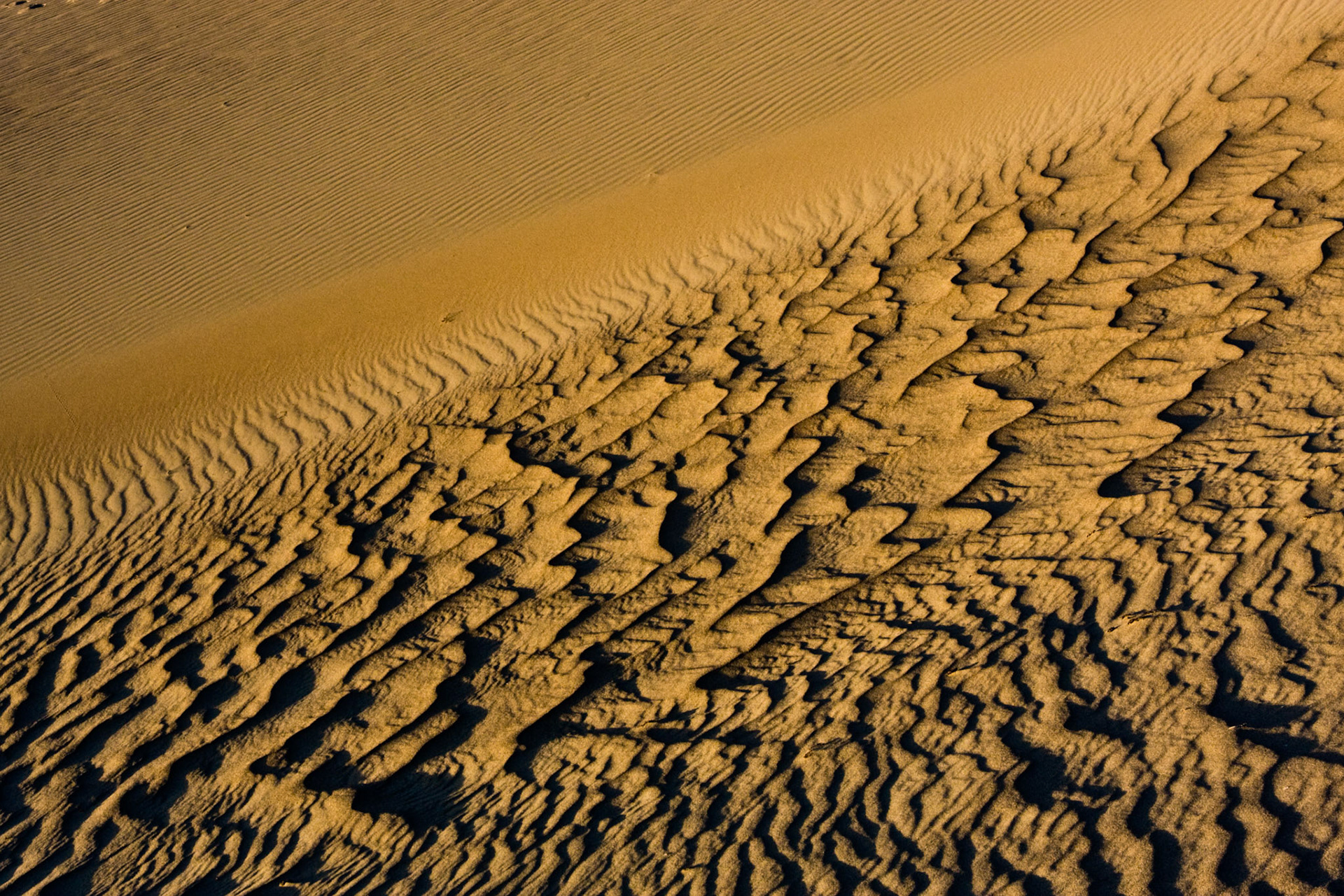 Mesquite Dune Ripples