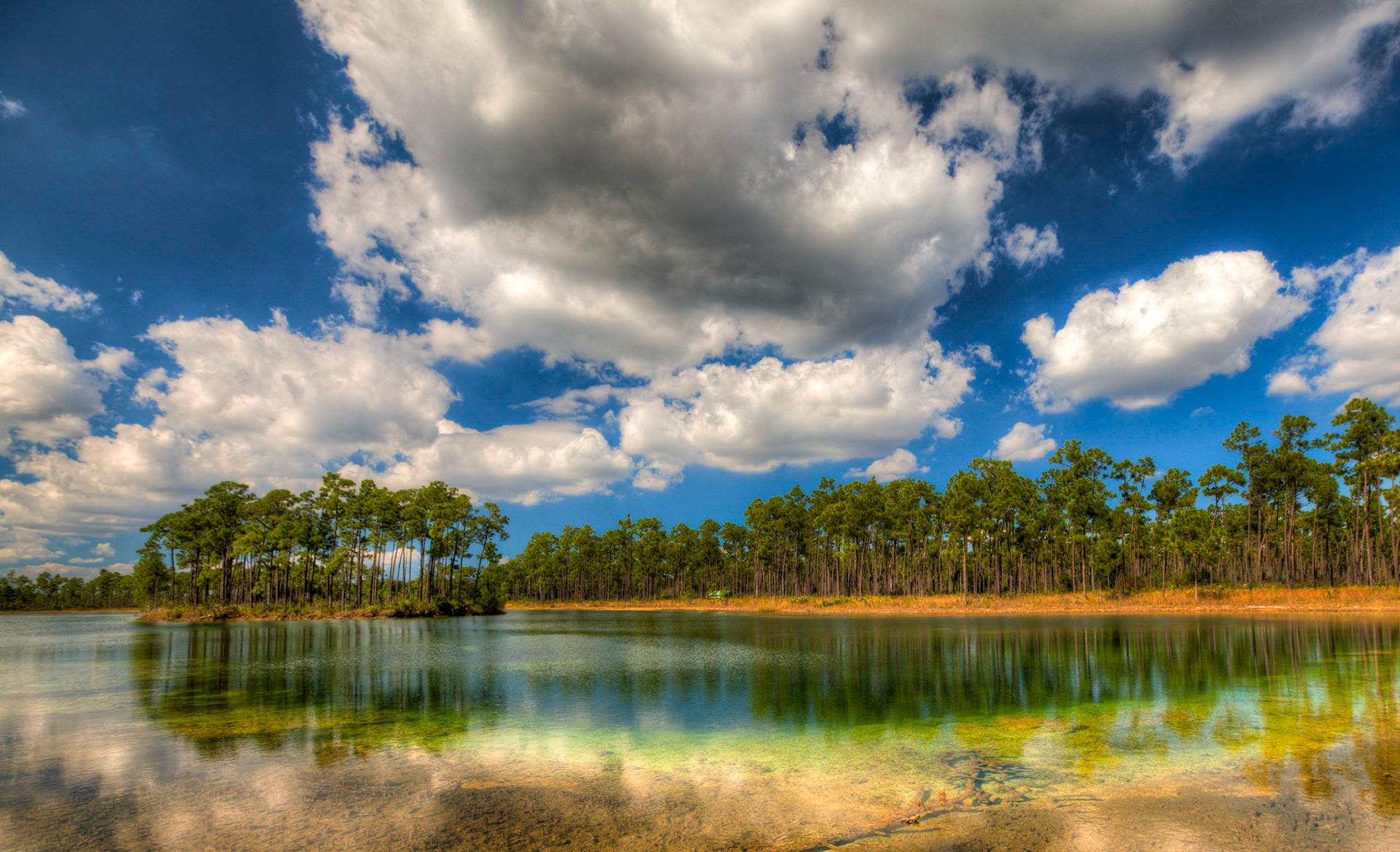 EN2402 -Everglades National Park, the largest subtropical wilderness in the United States, boasts rare and endangered species. It has been designated a World Heritage Site, International Biosphere Reserve, and Wetland of International Importance, significant to all people of the world.