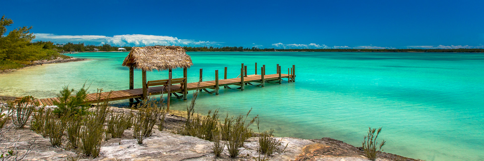 Palapa Dock 042