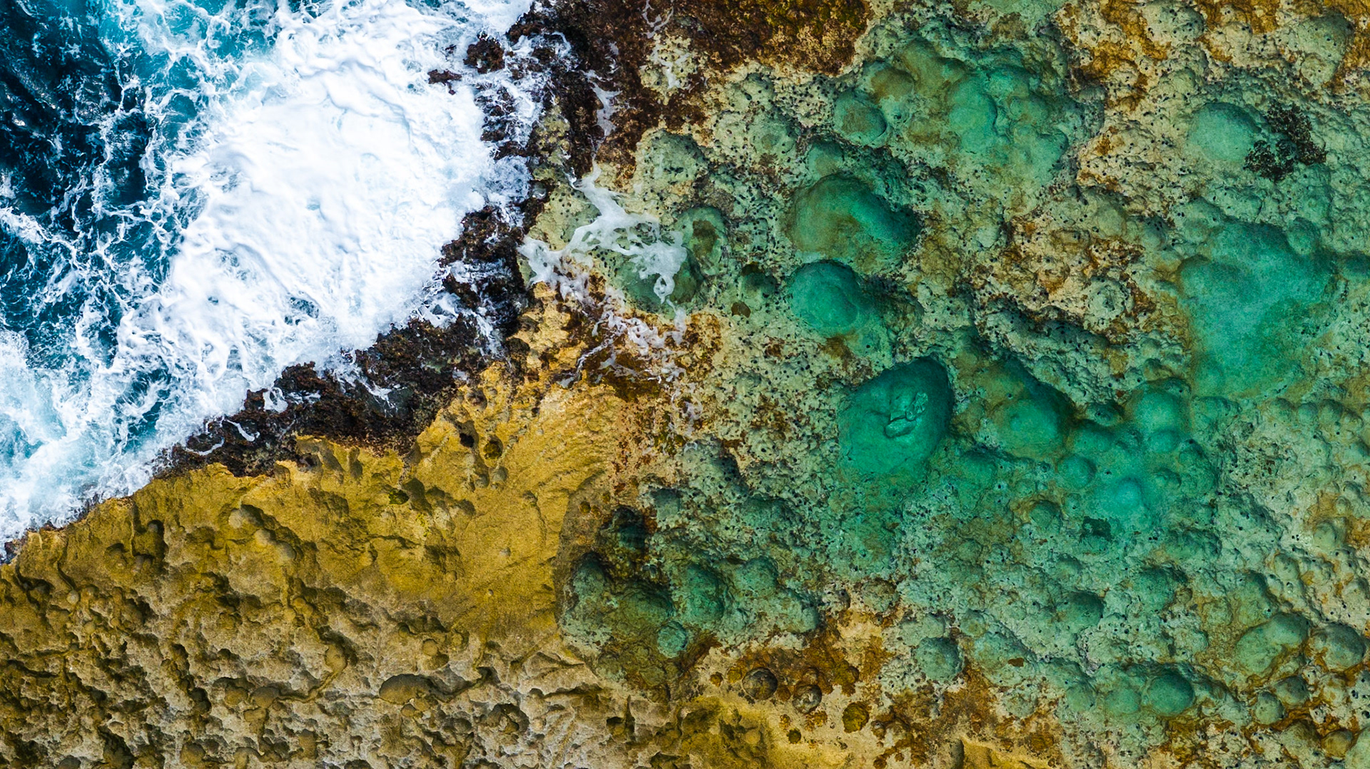 Gold Reef - 224