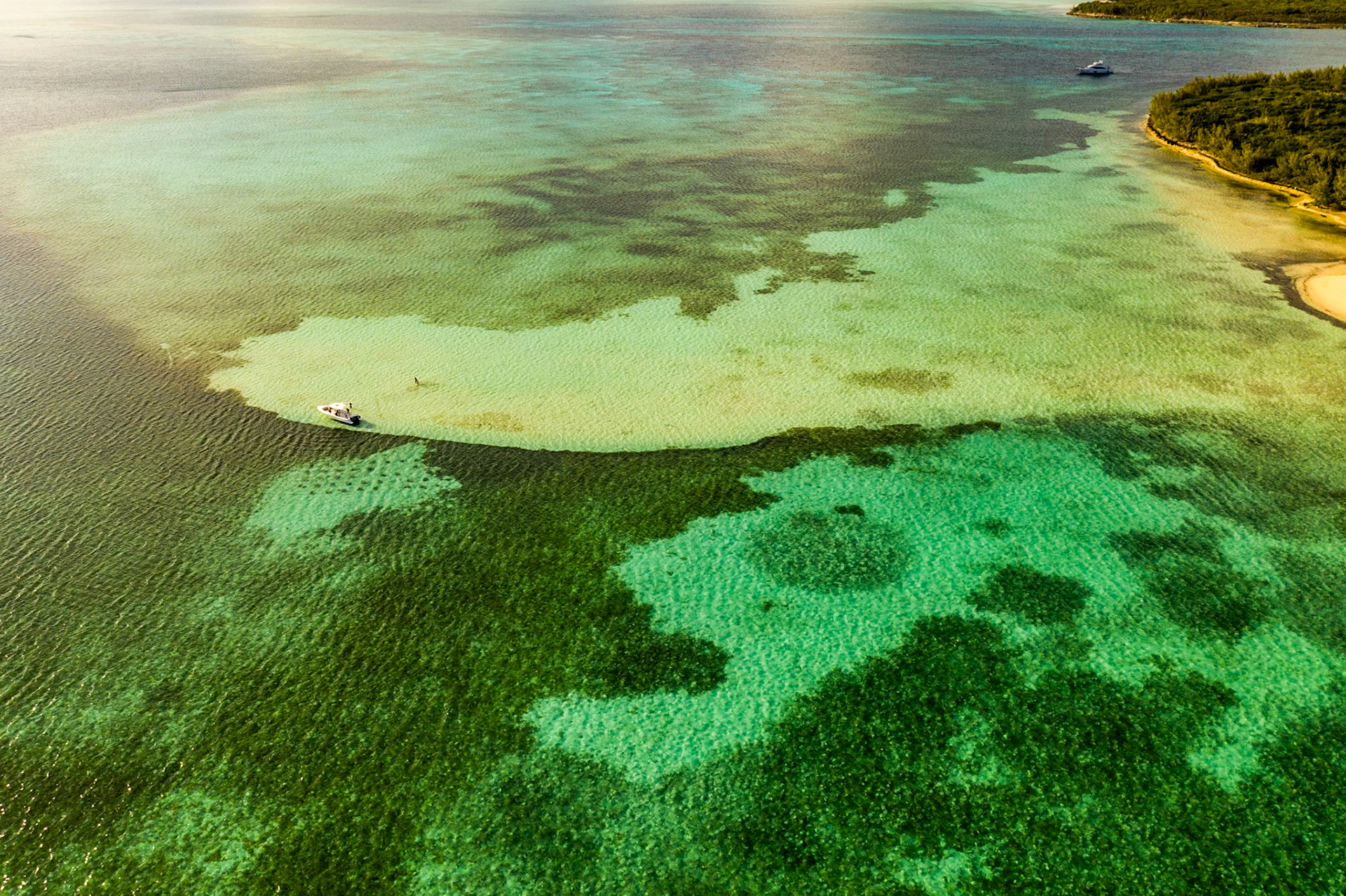 Green Flats - 070