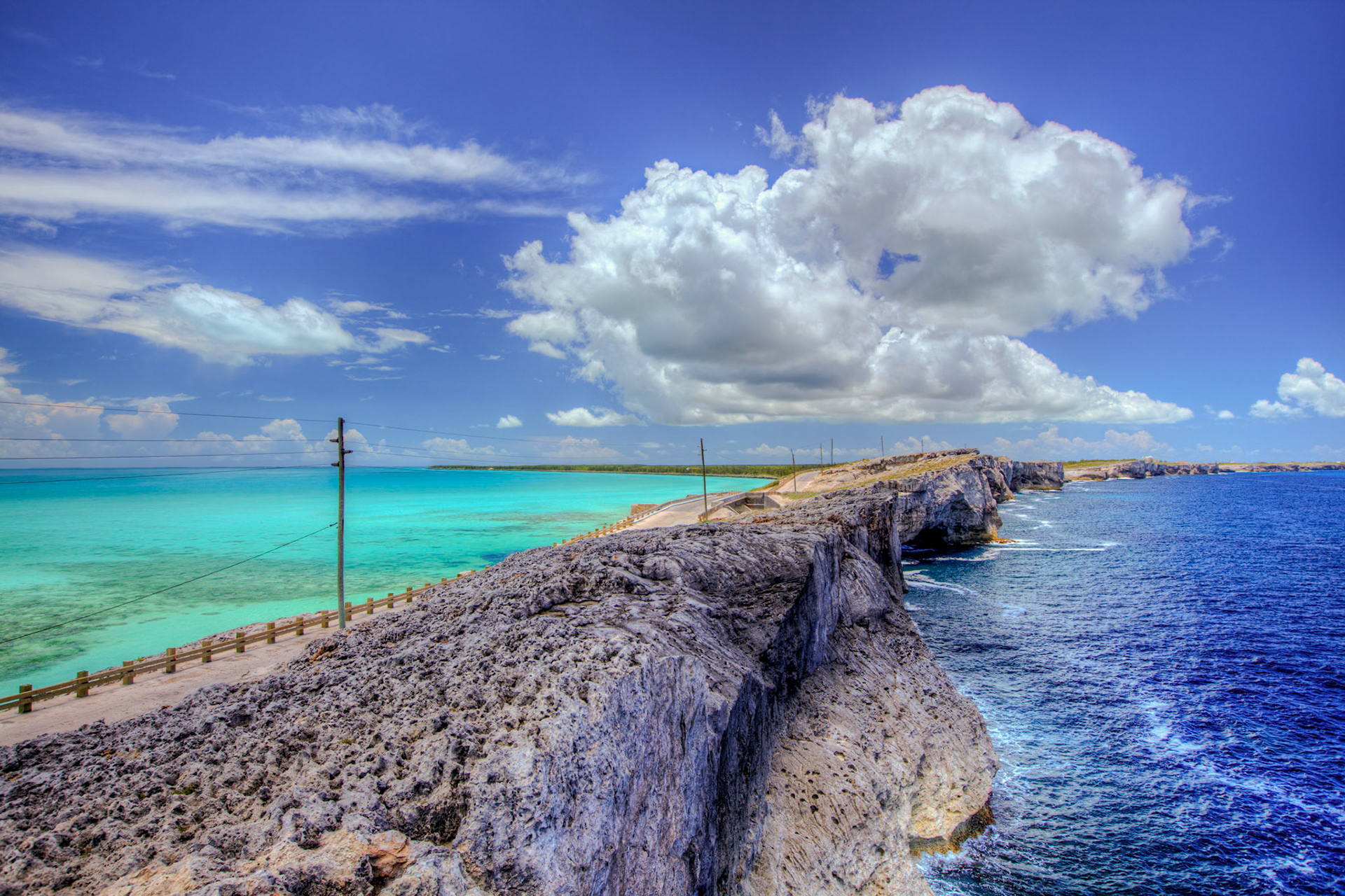 Two Colors, One Island 166