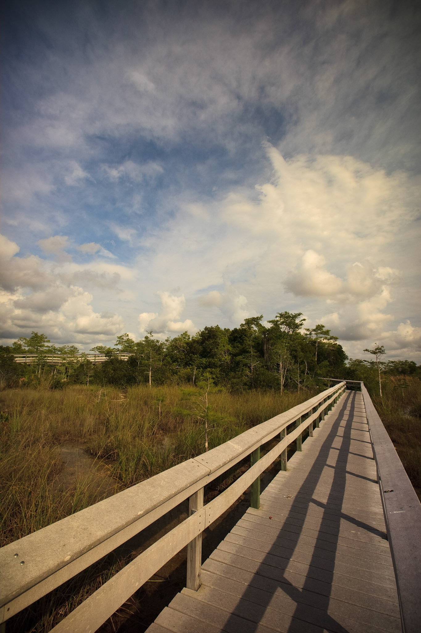 EN2405 -Everglades National Park, the largest subtropical wilderness in the United States, boasts rare and endangered species. It has been designated a World Heritage Site, International Biosphere Reserve, and Wetland of International Importance, significant to all people of the world.