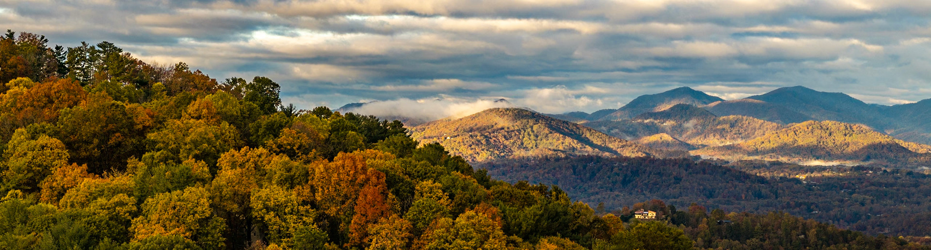 October Light 8516