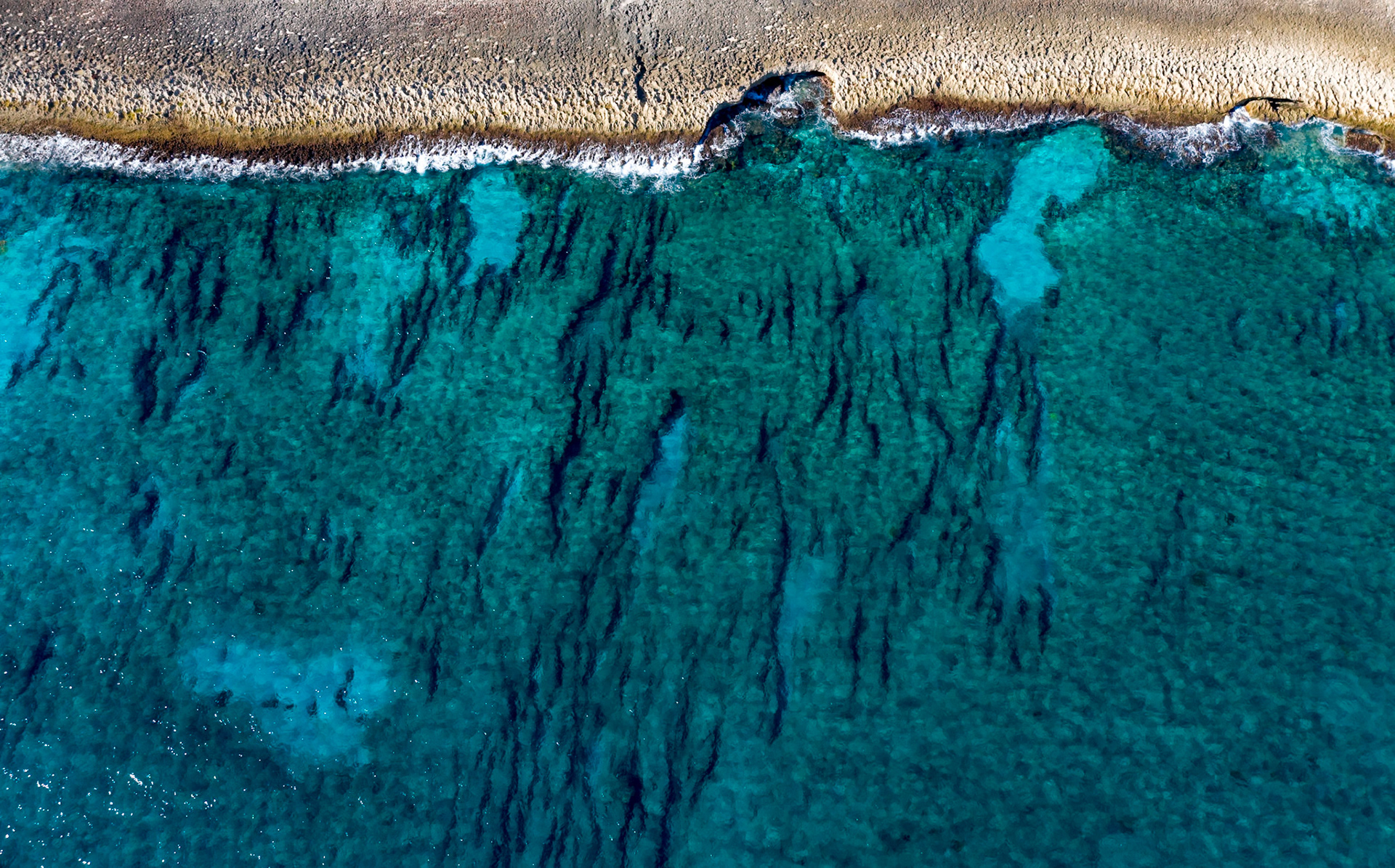 Dark Water, Pale Shore - 0280