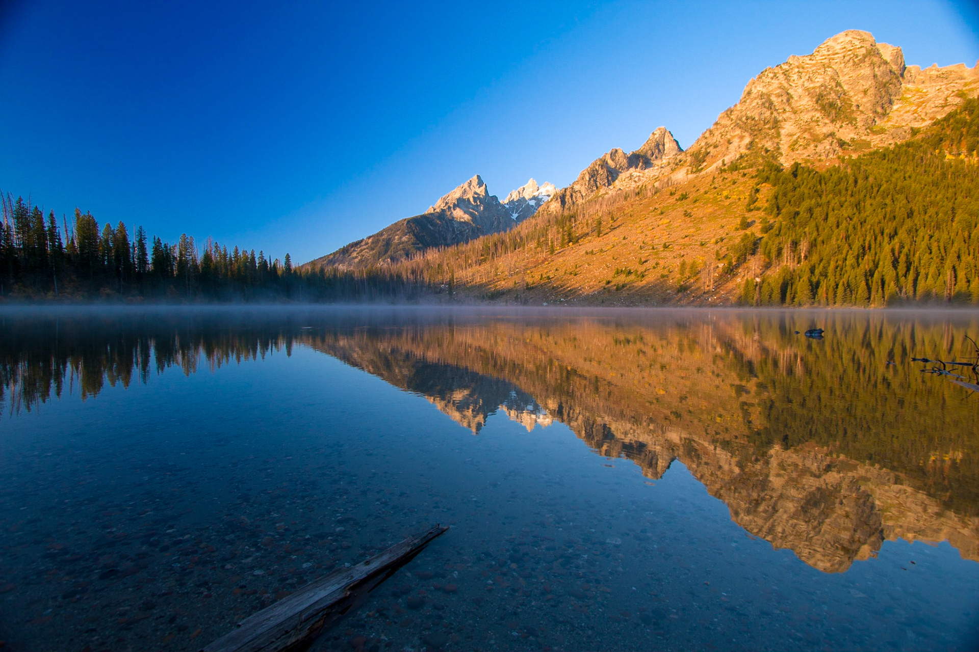 String Lake Dawn Reflection