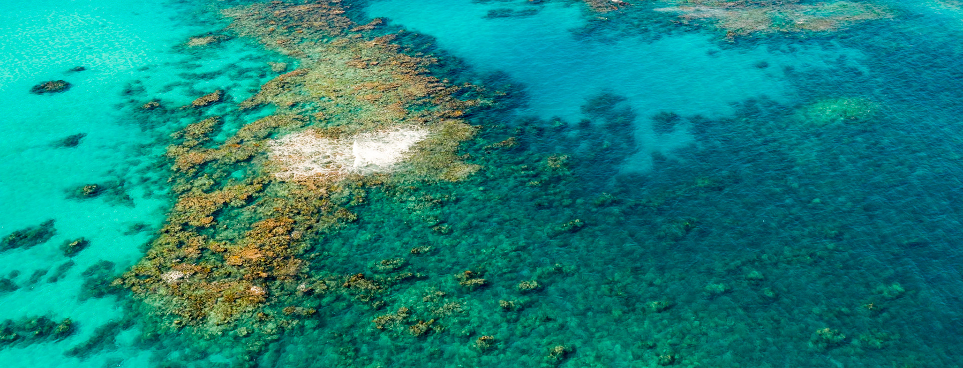 White Water in the Reef - 0873
